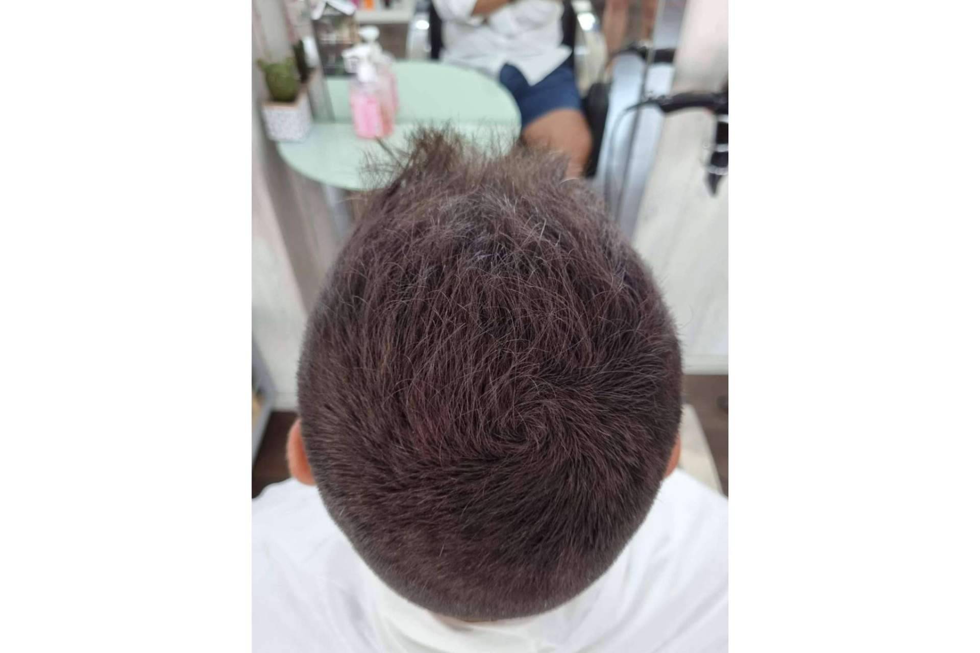 Lion Hair, ¿qué son las fibras capilares?
