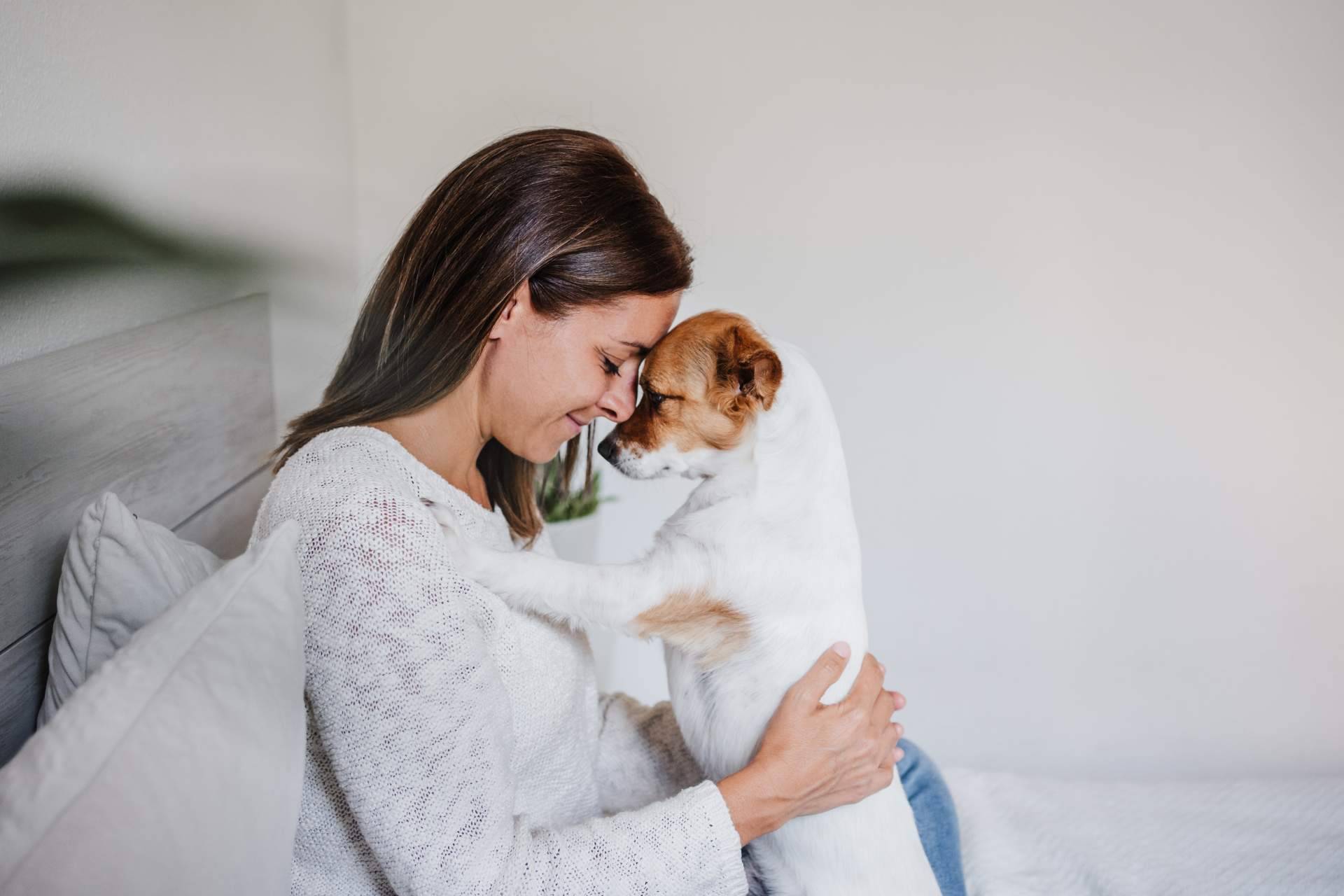El Perro Feliz expone los beneficios de la sonoterapia en animales de compañía