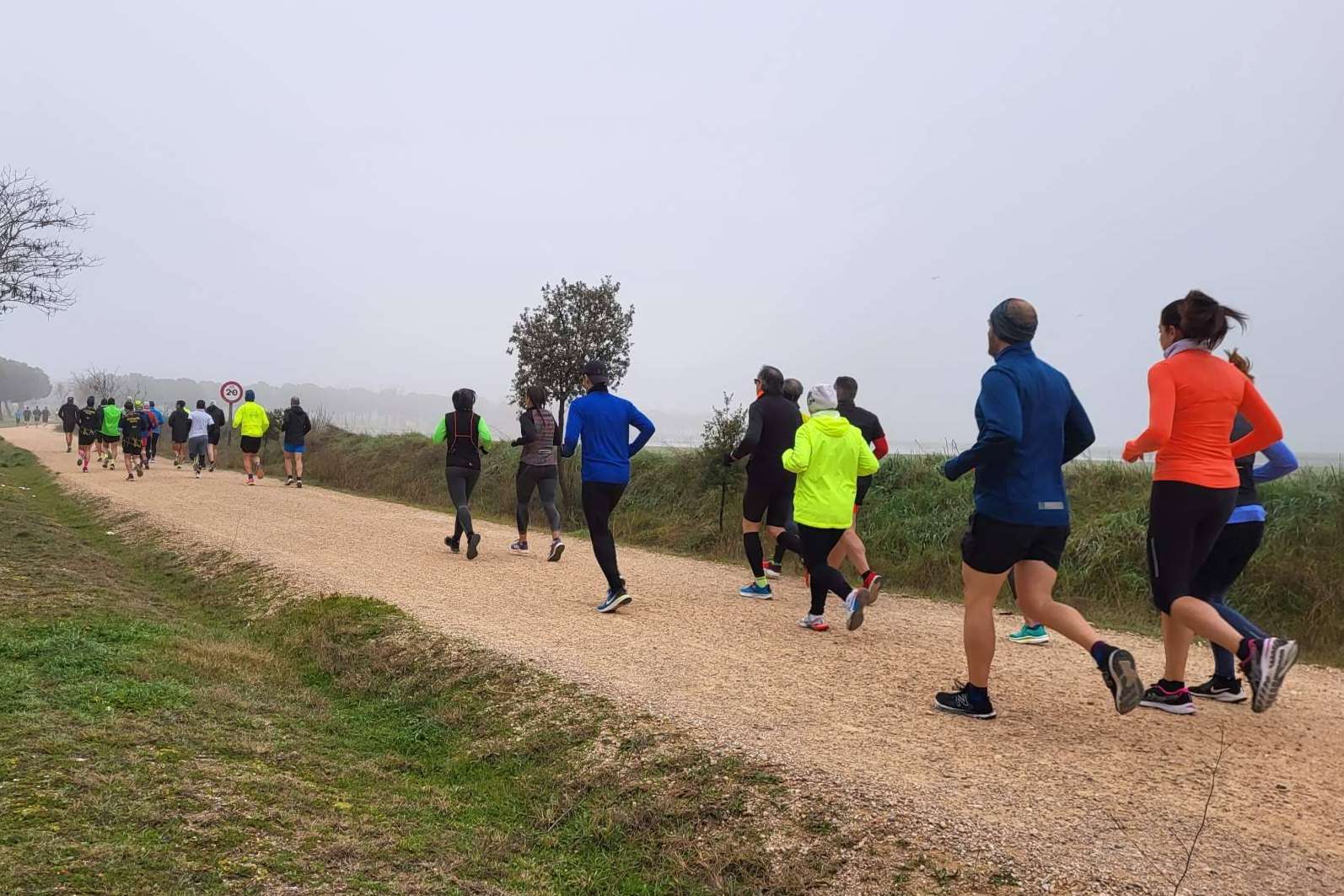 Desafío Running Móstoles, la Escuela de Corredores de Diana Martín que dicta clases de entrenamiento online de running personalizado