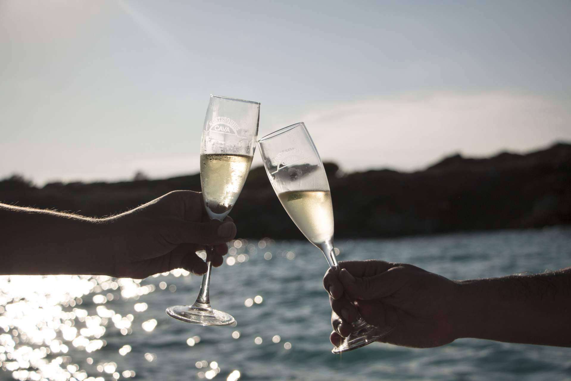 Adquirir vinos para ocasiones especiales en Natureloverswines.com