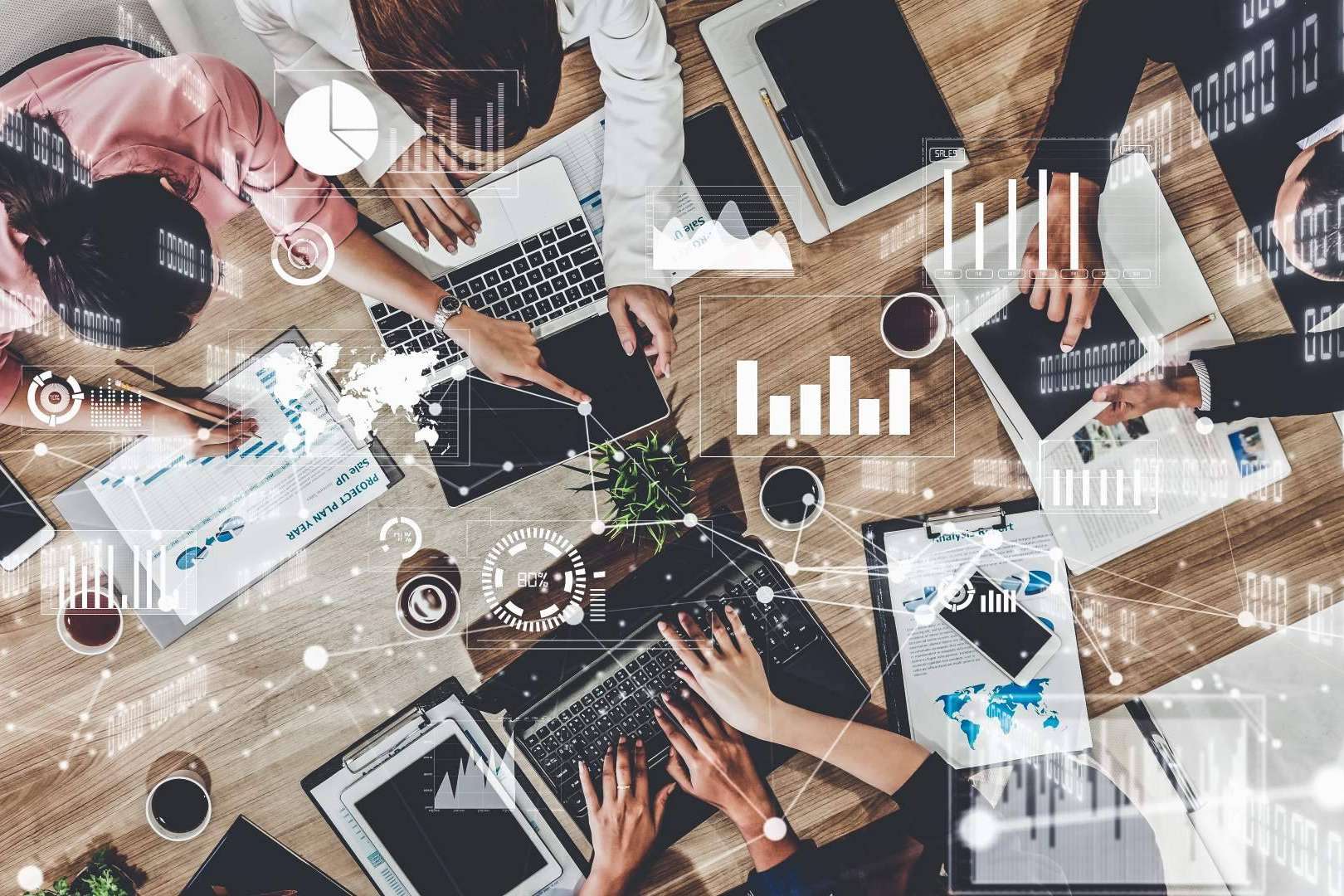 Encontrar profesionales en servicios auxiliares con FRANMAR