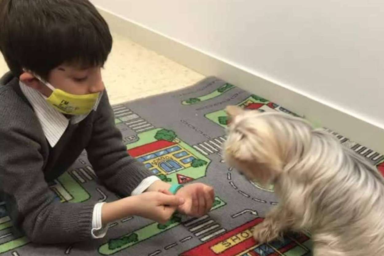 Signos de alarma y factores de riesgo que permiten detectar los retrasos madurativos, por E-THERAPYKIDS