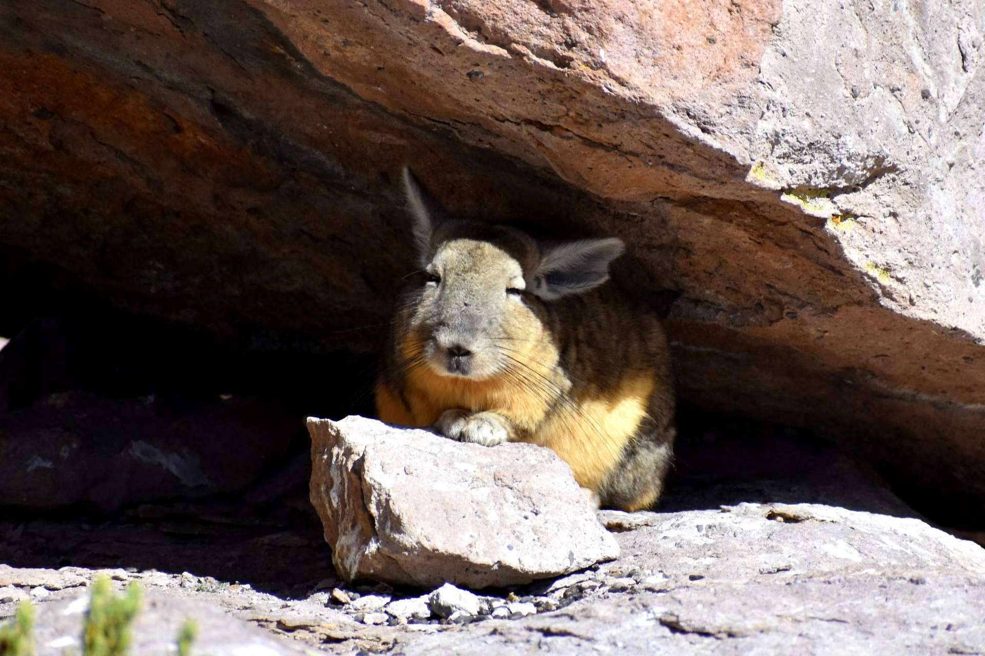 Descubrir los rincones más impresionantes de Chile, con Mayuru Tour