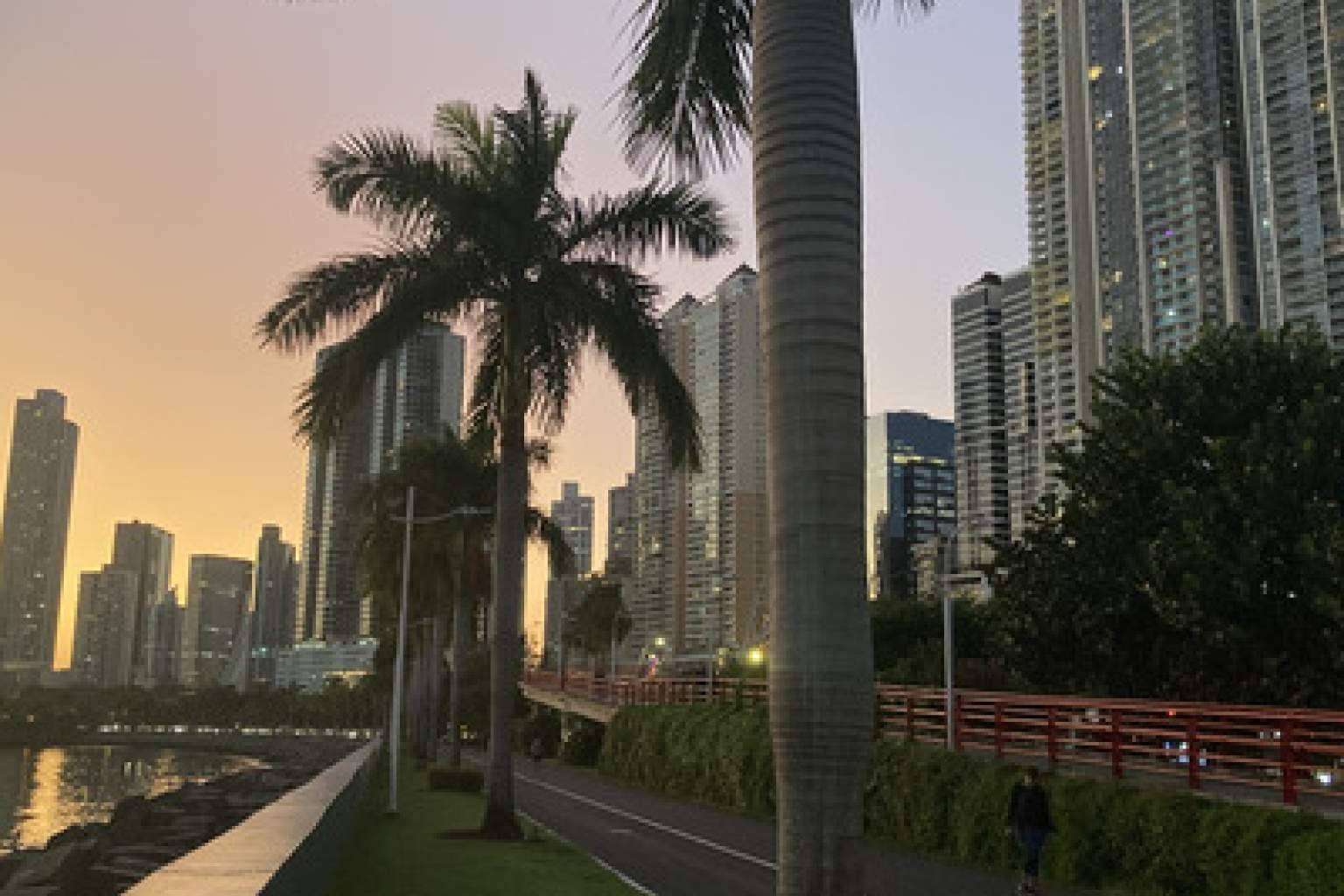 ¿Cuáles son las mejores opciones para vivir Avenida Balboa, una de las mejores zonas de Ciudad de Panamá?