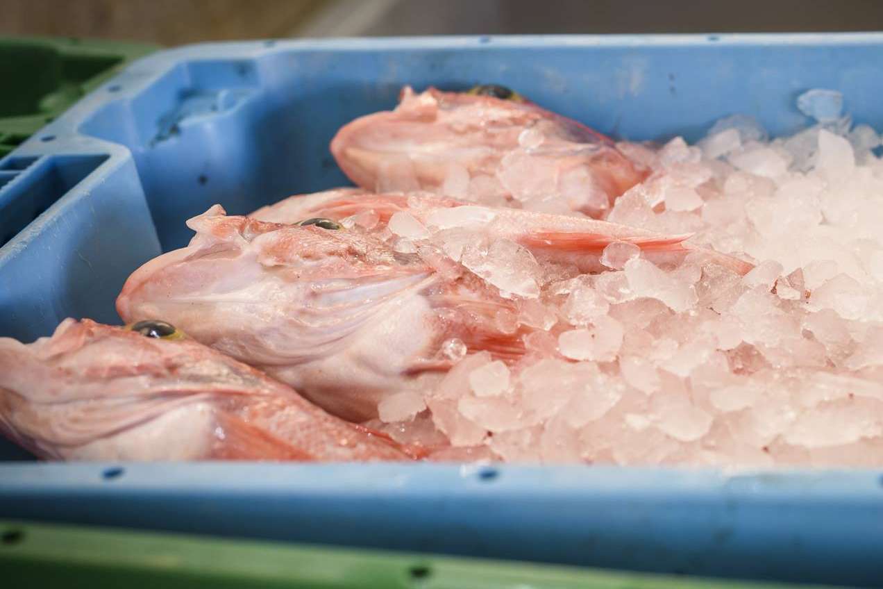 Lonja de Ayamonte, profesionales de la venta de pescados y mariscos frescos