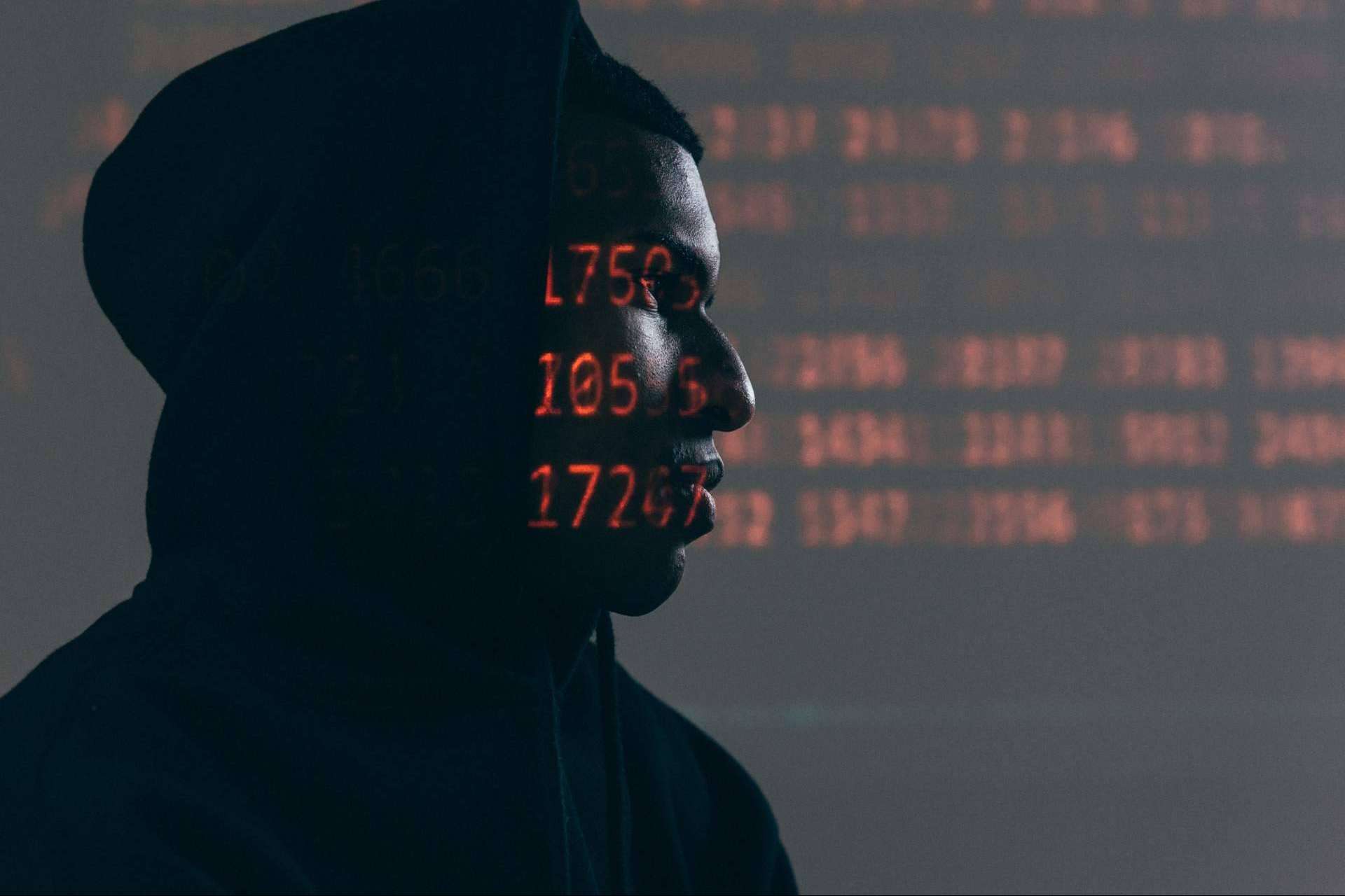 Cómo empezar a aprender ciberseguridad desde cero con Coldd Security