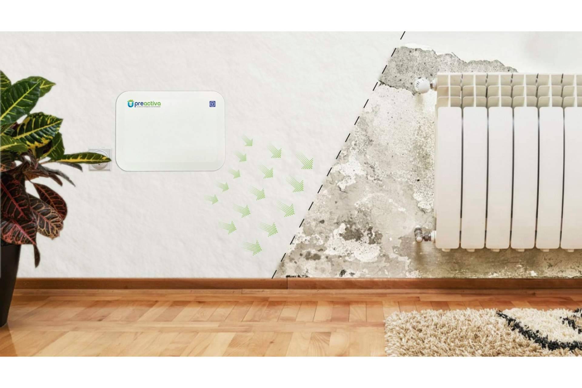 Preactiva y su servicio para eliminar la humedad de la pared