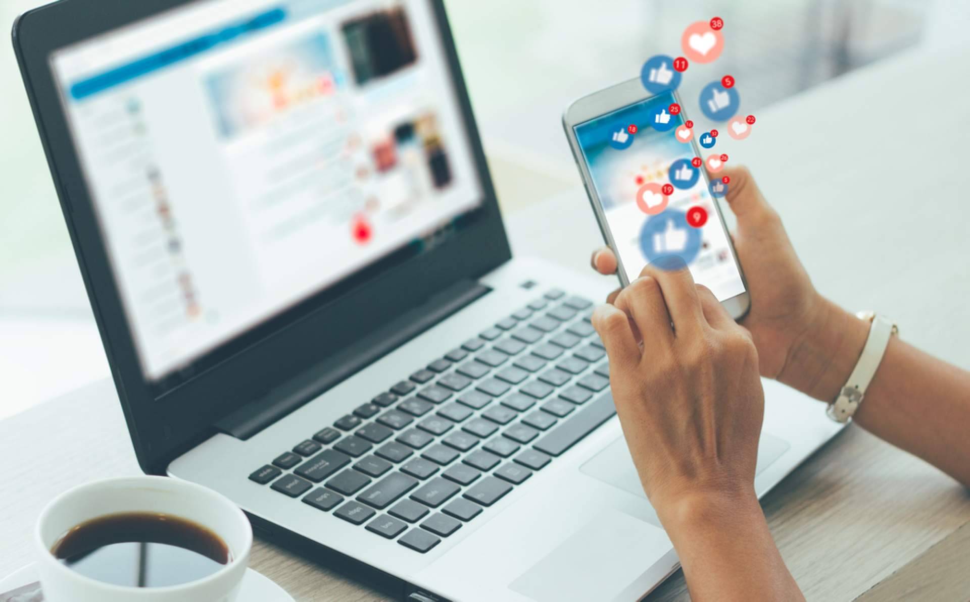 La agencia digital, Wolf Agency, experta en estrategias de marketing y SEO en España e Italia