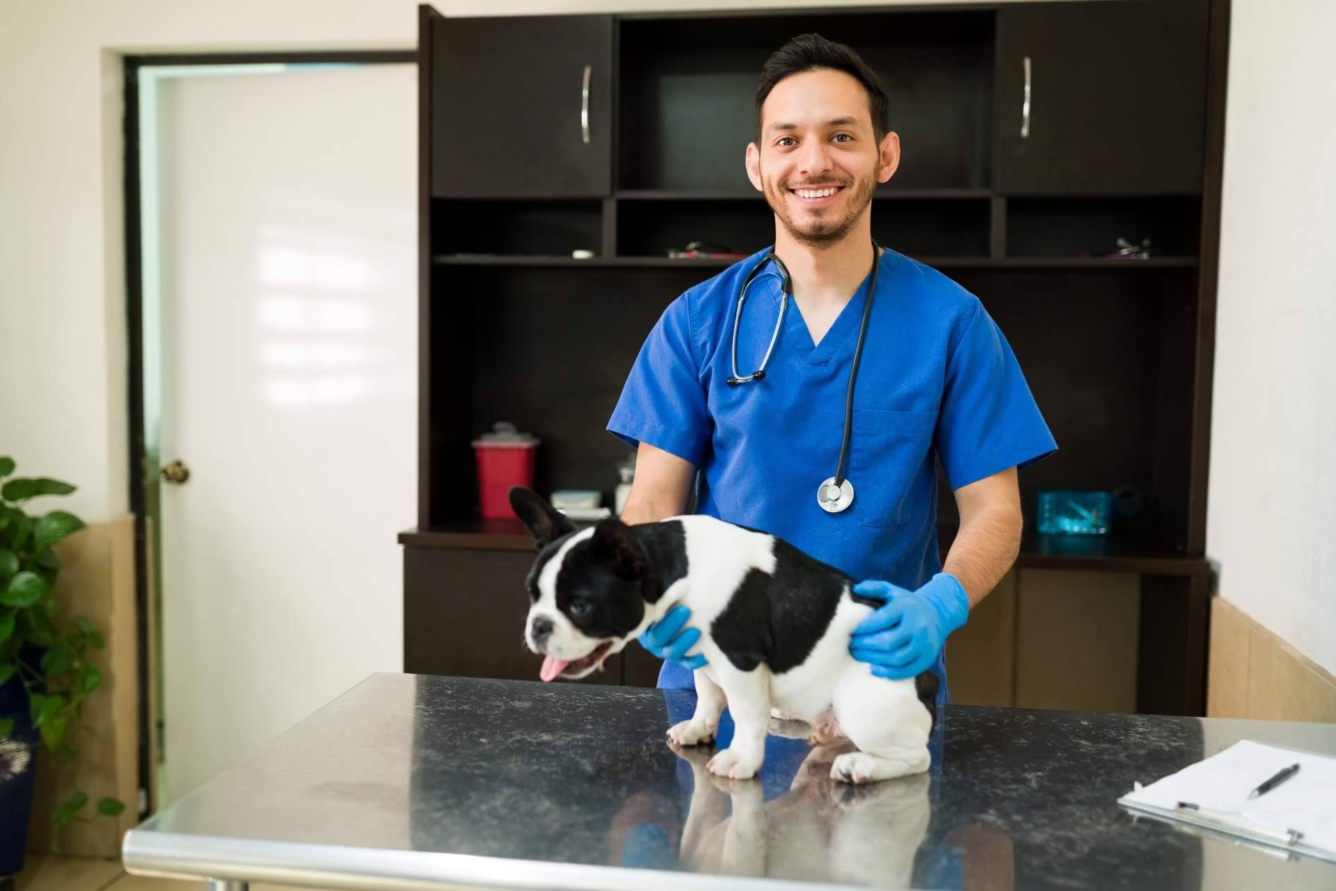 ¿Por qué los autónomos también requieren una consultoría?