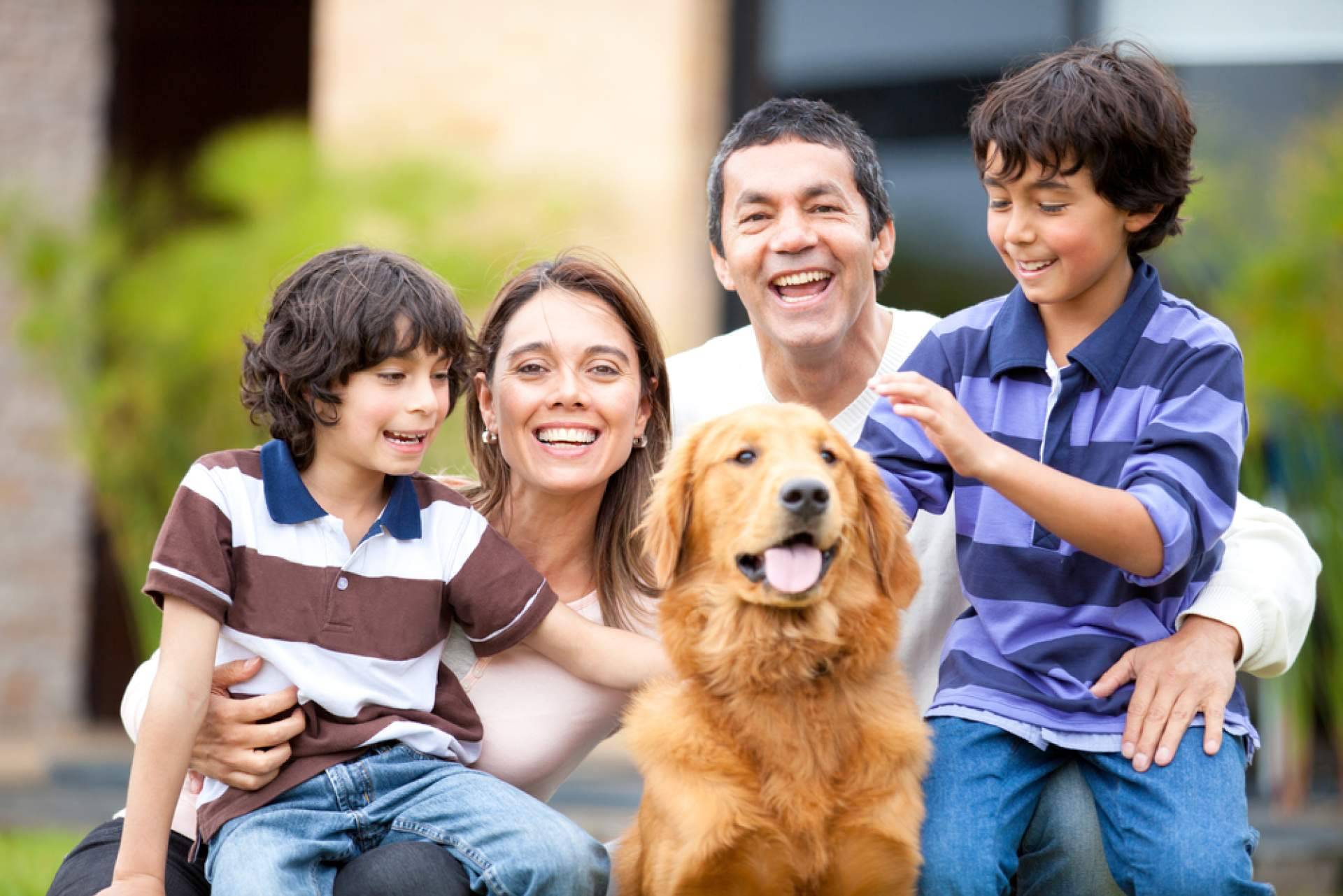 ADOPTA, el buscador de adopciones que está transformando la vida de los animales de refugio