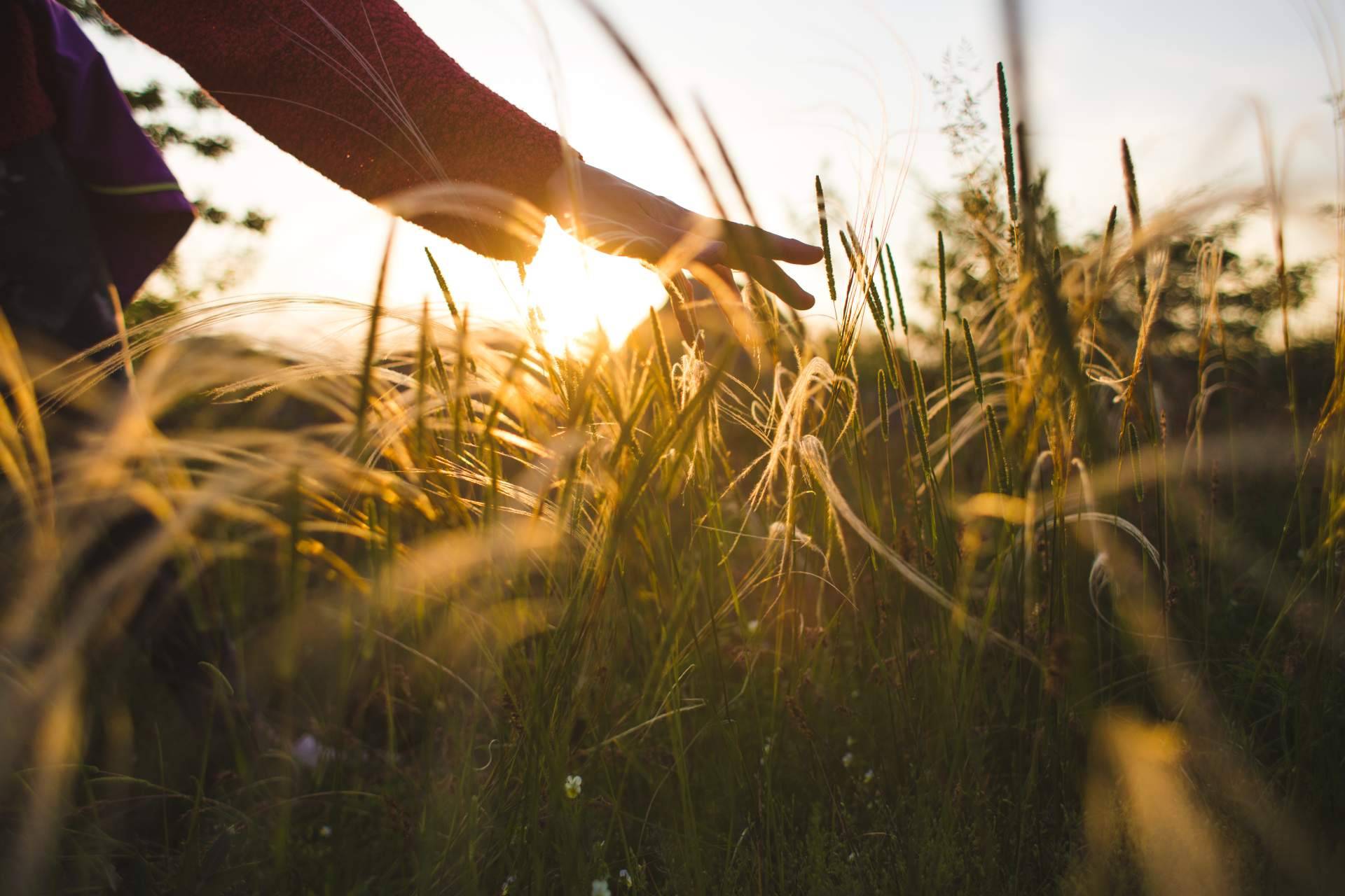 ¿Por qué hacer un retiro de meditación?, según Podcastmeditacion.com