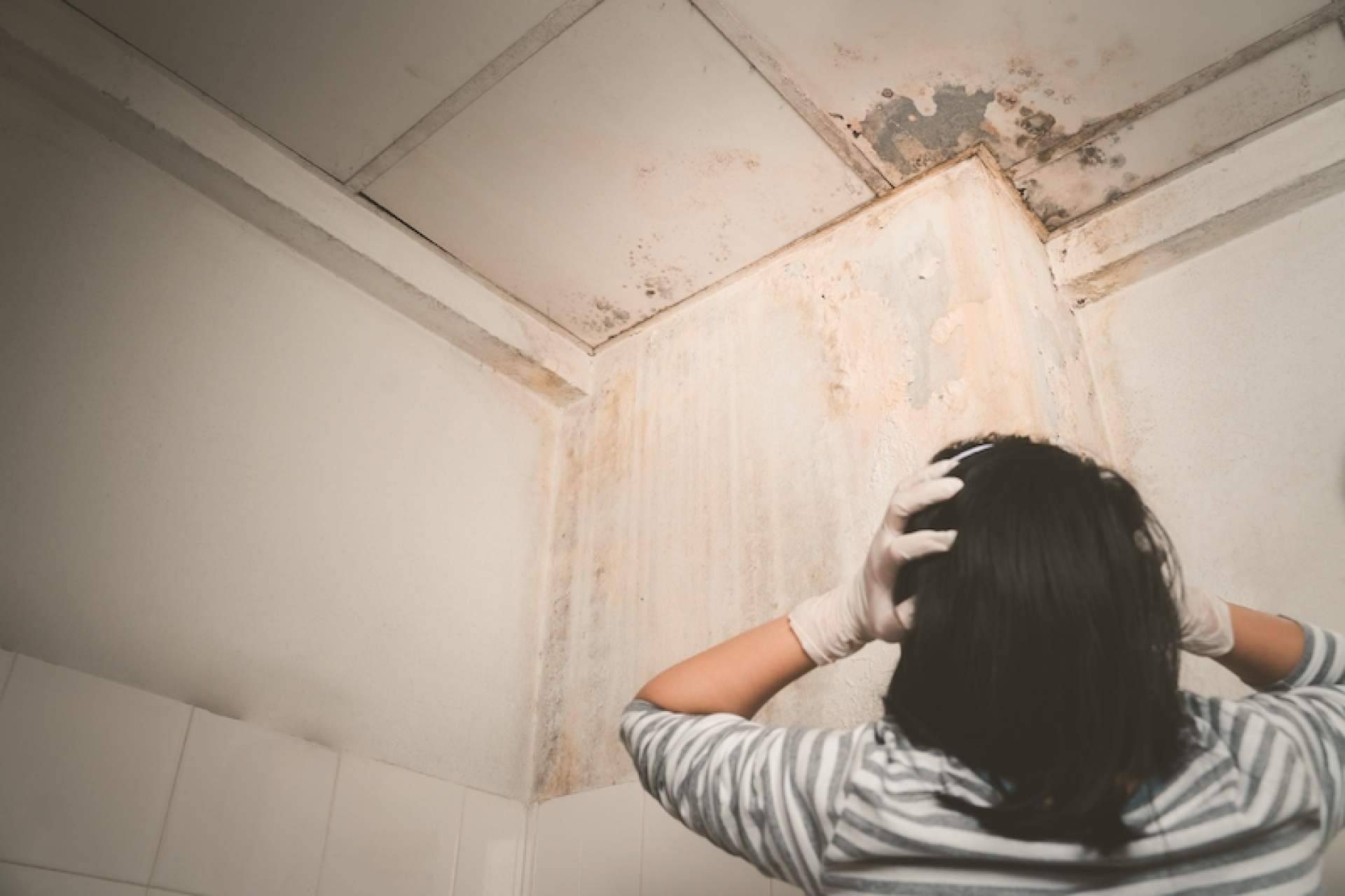 La destacada experiencia para quitar humedades por capilaridad de Preactiva
