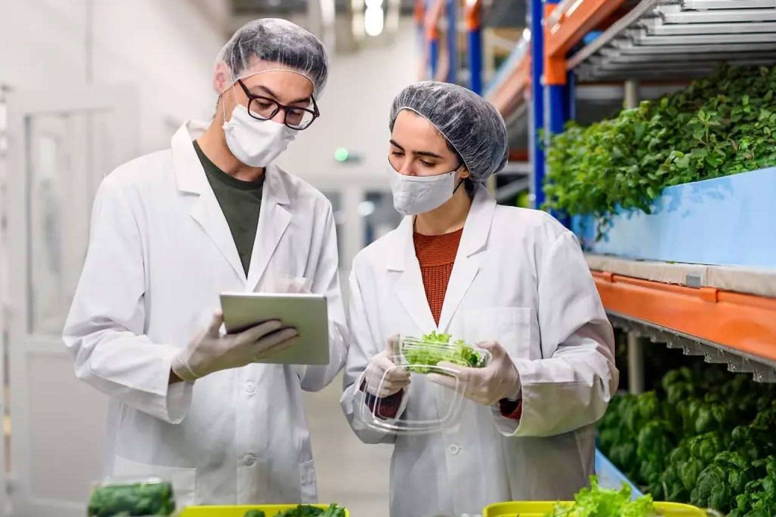 SERUNION lidera la lucha contra el desperdicio alimentario gracias a su Comité Experto y su plan de acción