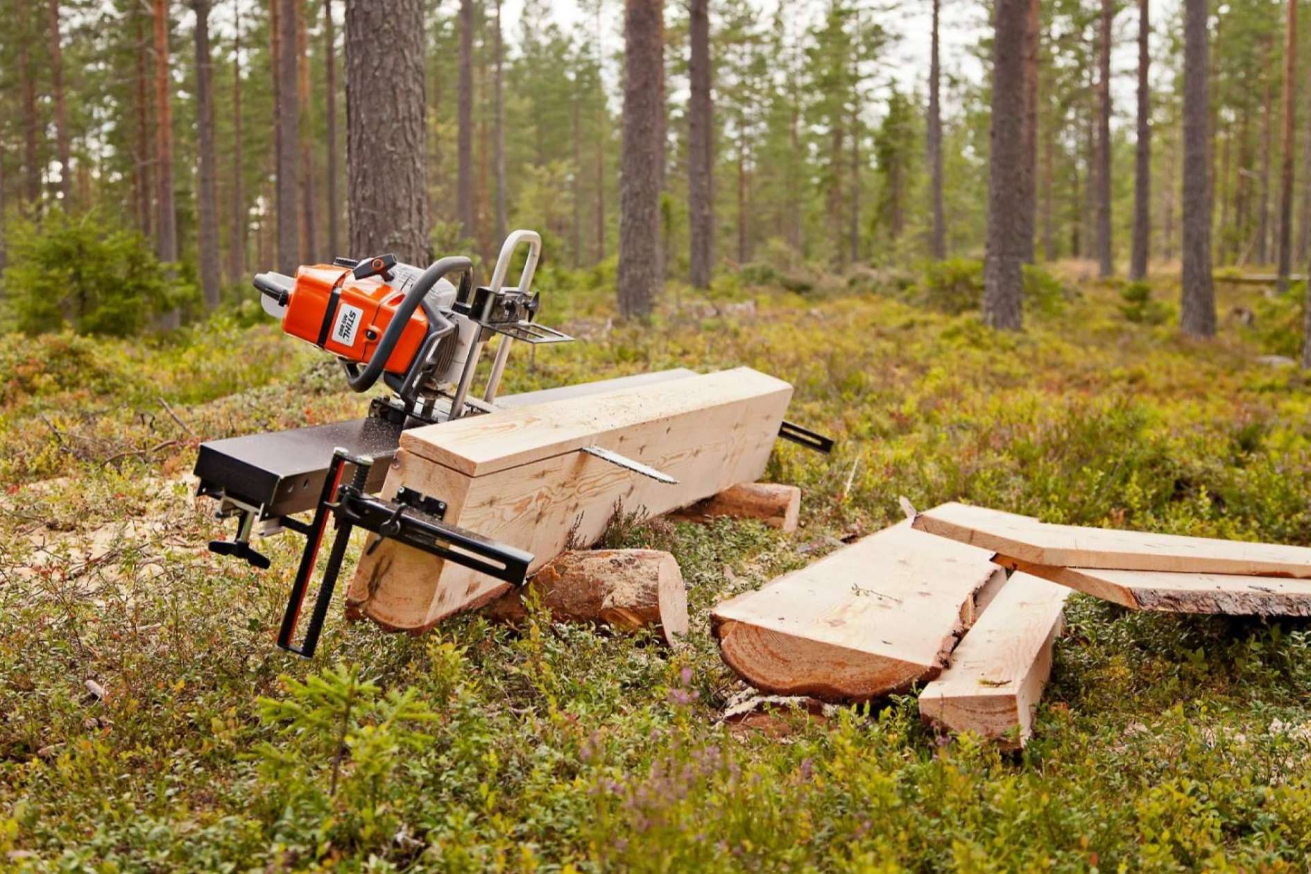 ¿Cómo revalorizar o dar valor agregado a la madera? TIMBER TOOLS