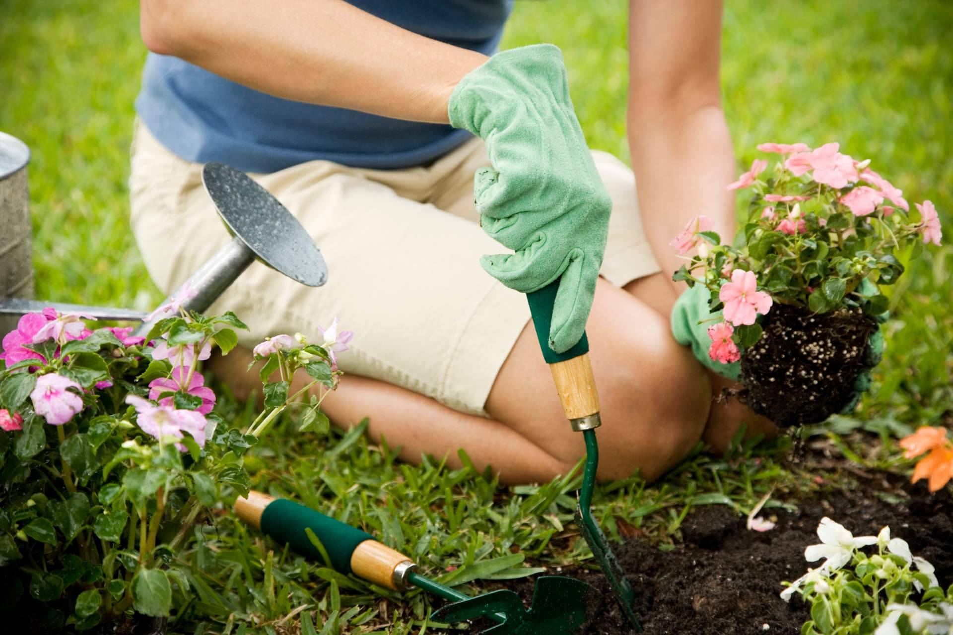 Acondicionar el jardín para este verano de la mano de Keroppa
