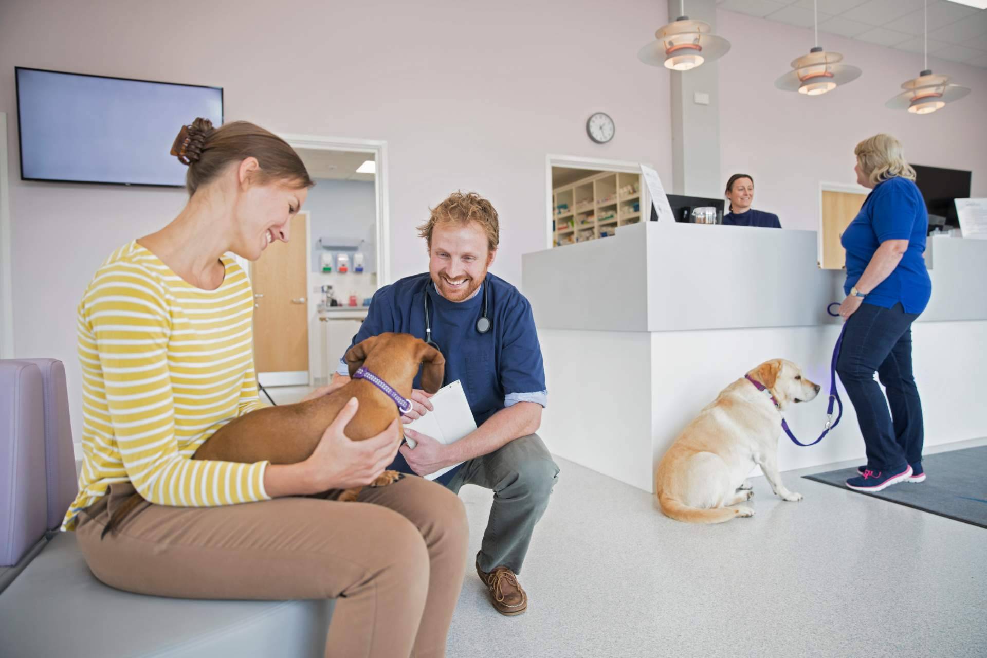Encontrar los mejores sitios para disfrutar con el perro de la mano del buscador pet friendly de ADOPTA