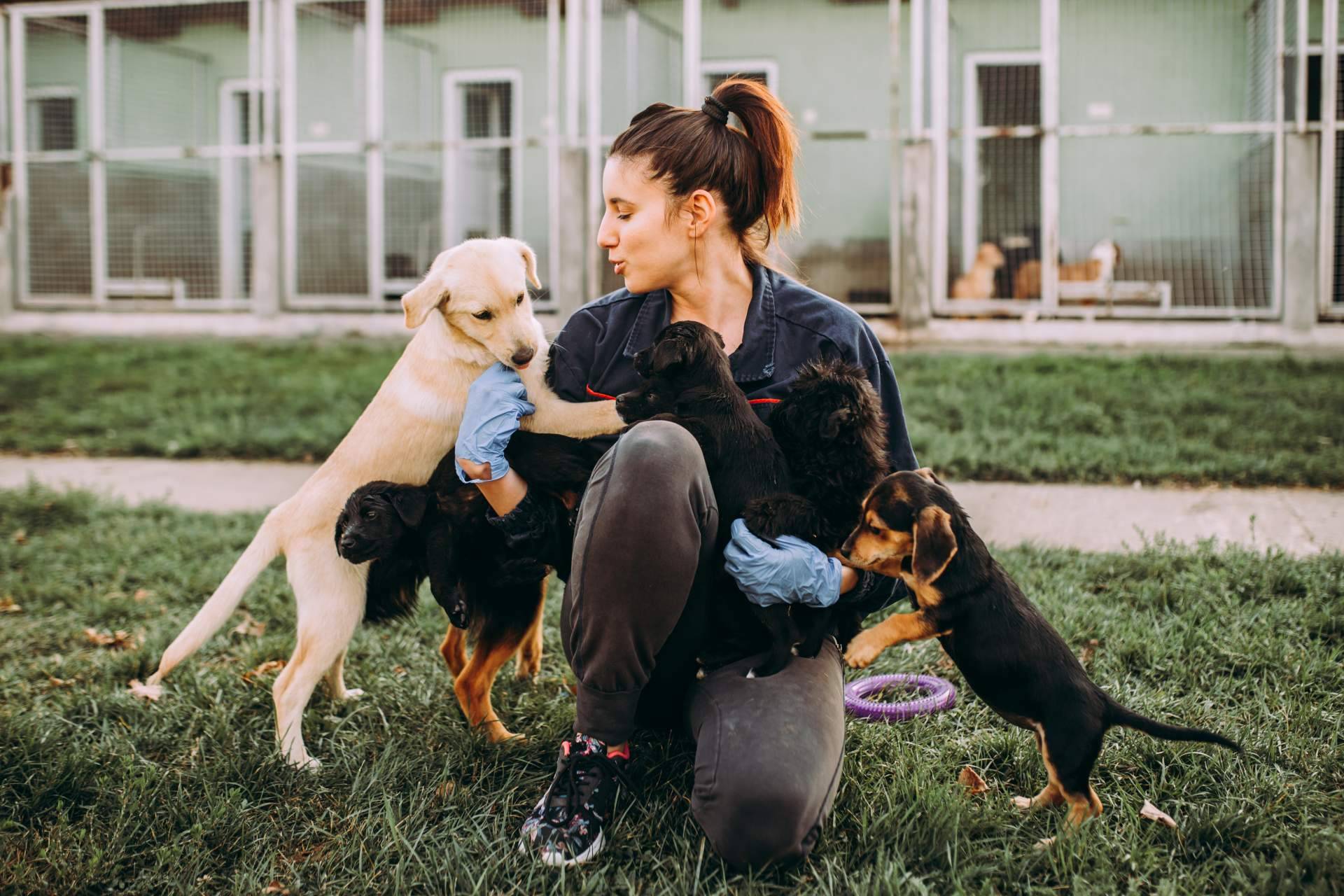 ADOPTA tiene la clave para encontrar el compañero peludo perfecto con su buscador de perros y gatos en adopción
