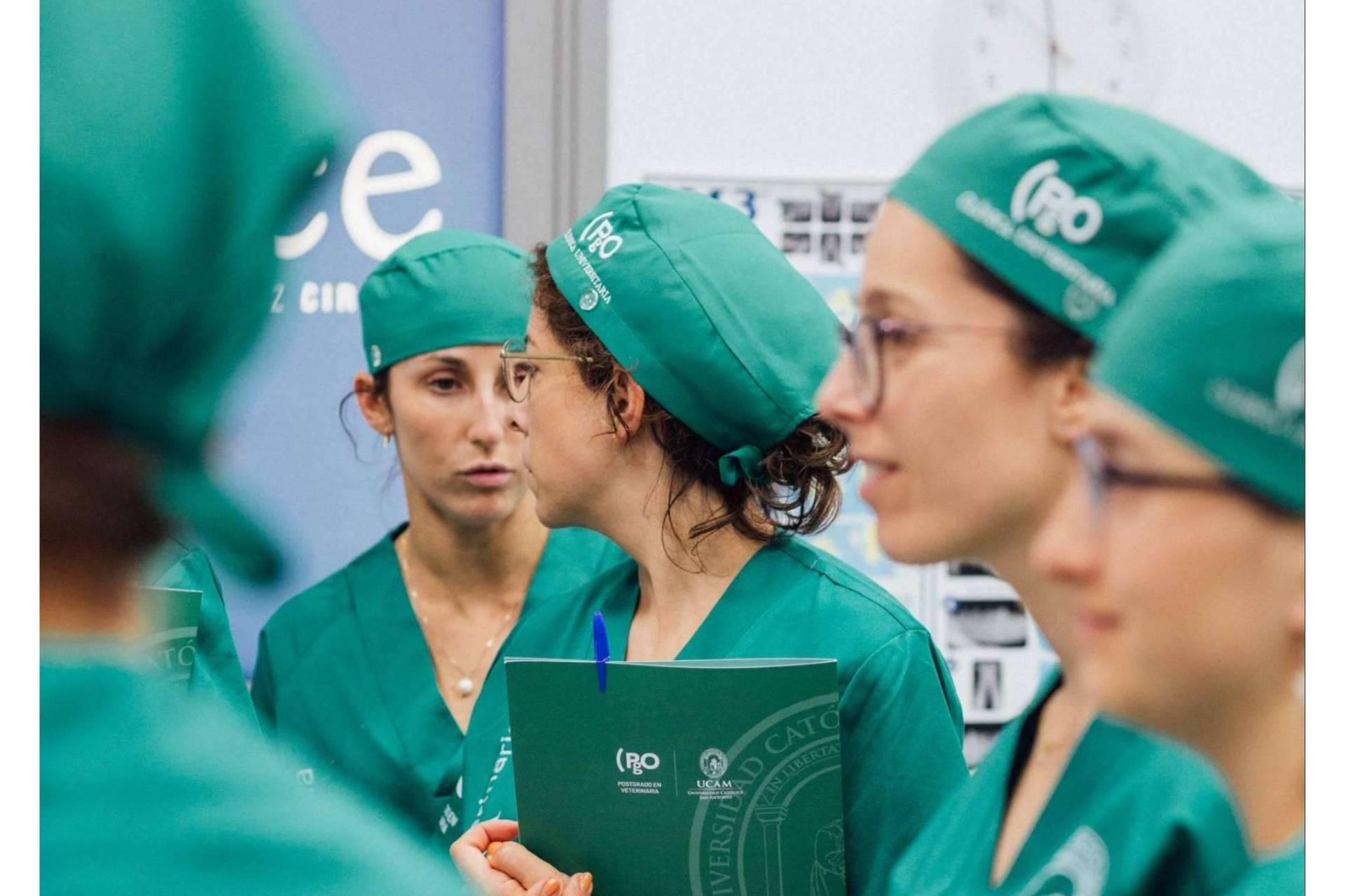 PgO Veterinaria ofrece postgrados caracterizados por la calidad y vanguardia