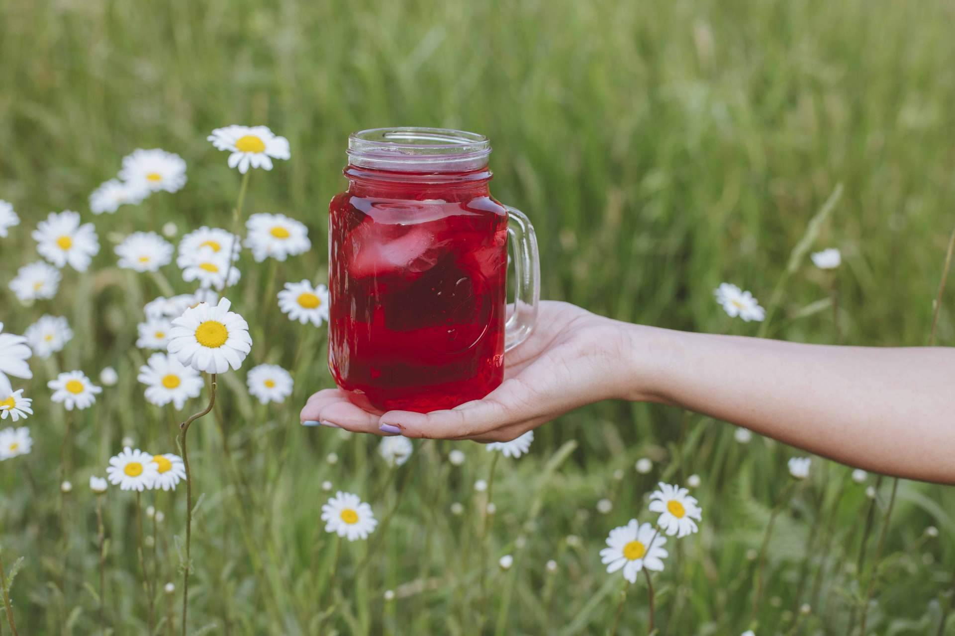 ¿Cómo preparar tés e infusiones frías perfectas? Tetereta
