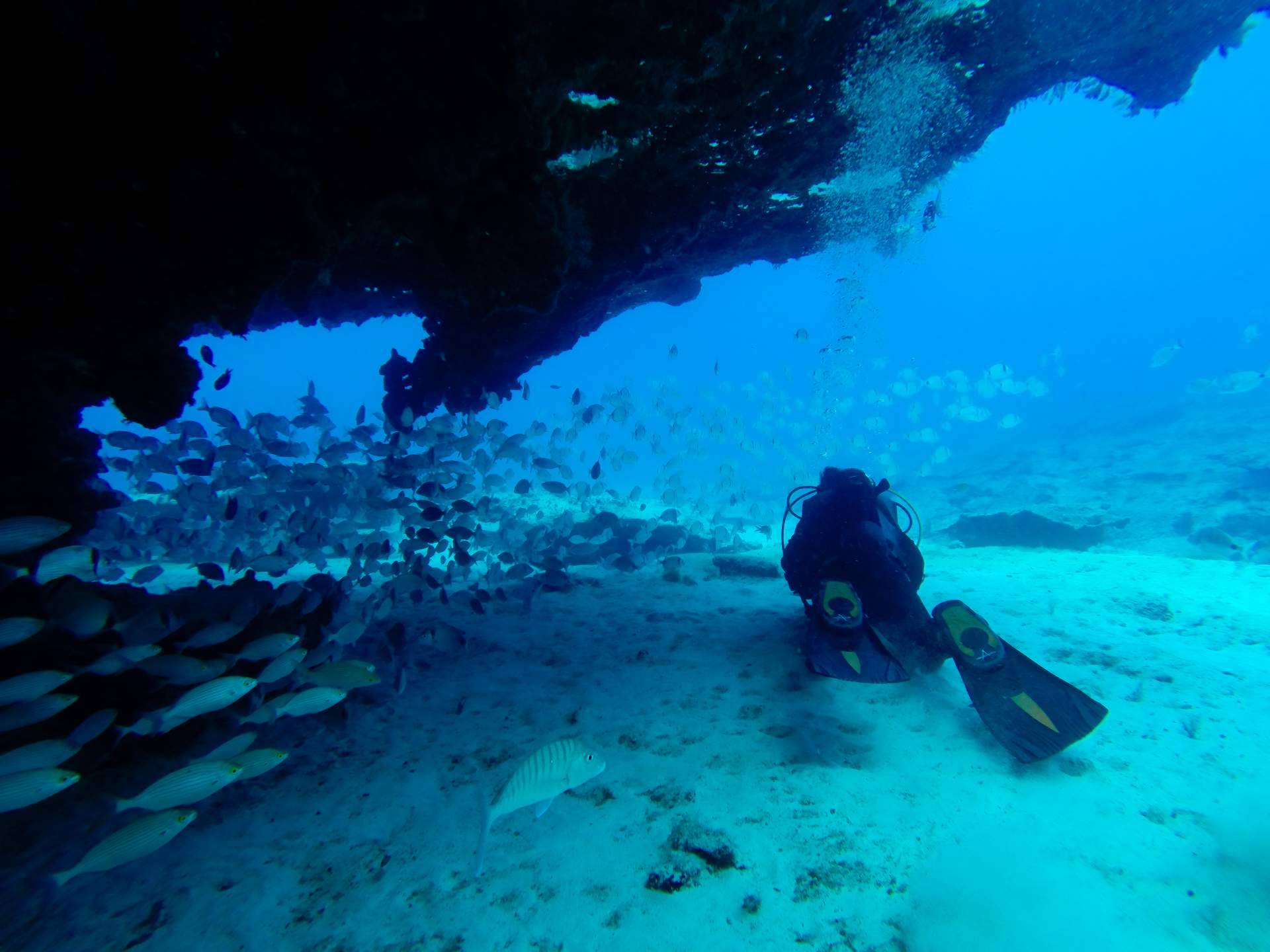 El lugar perfecto para hacer el curso Open Water Diver PADI de la mano de Underwater Barcelona son las playas de Barcelona