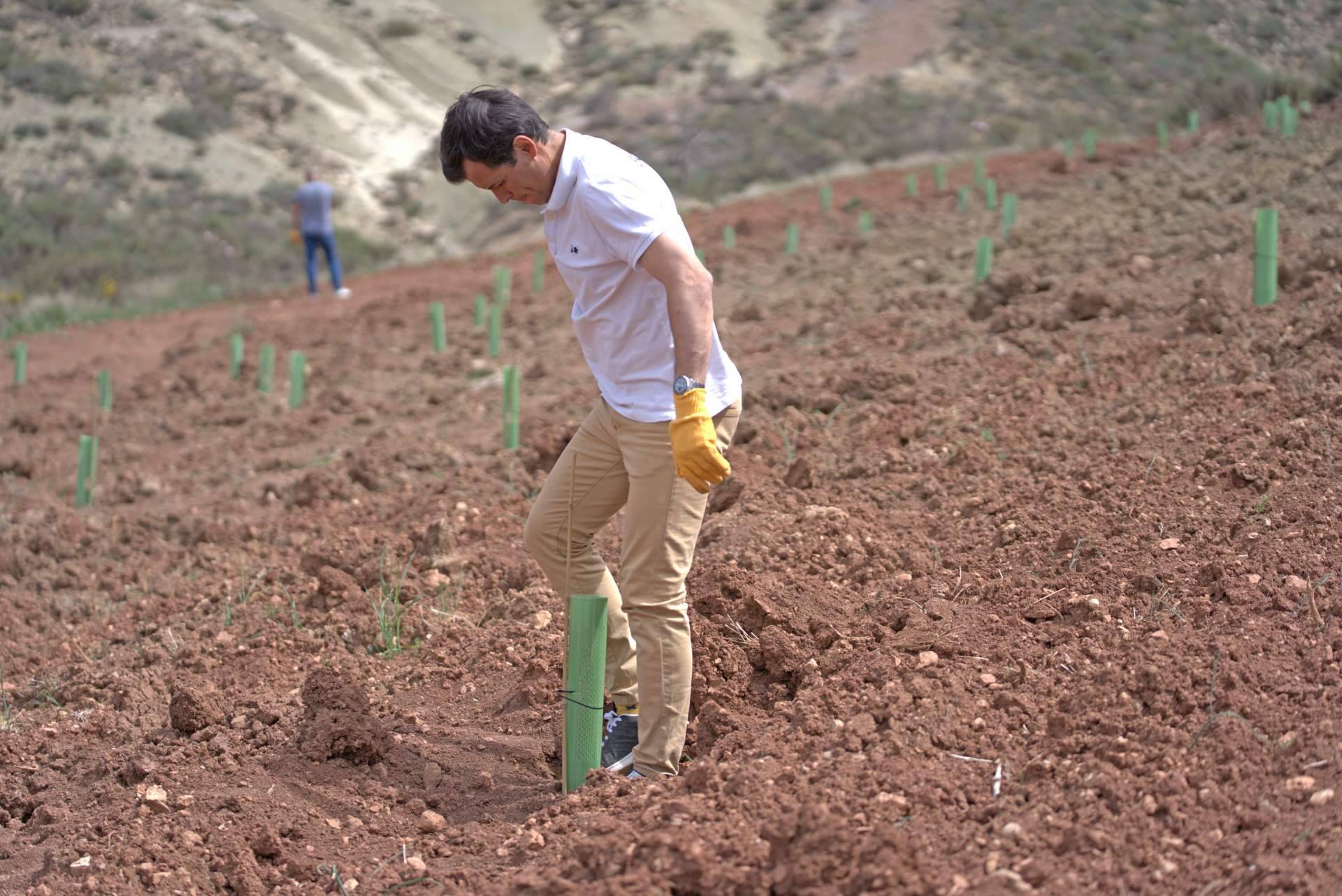 'Juega tu papel' redobla su compromiso en la creación de nuevos bosques
