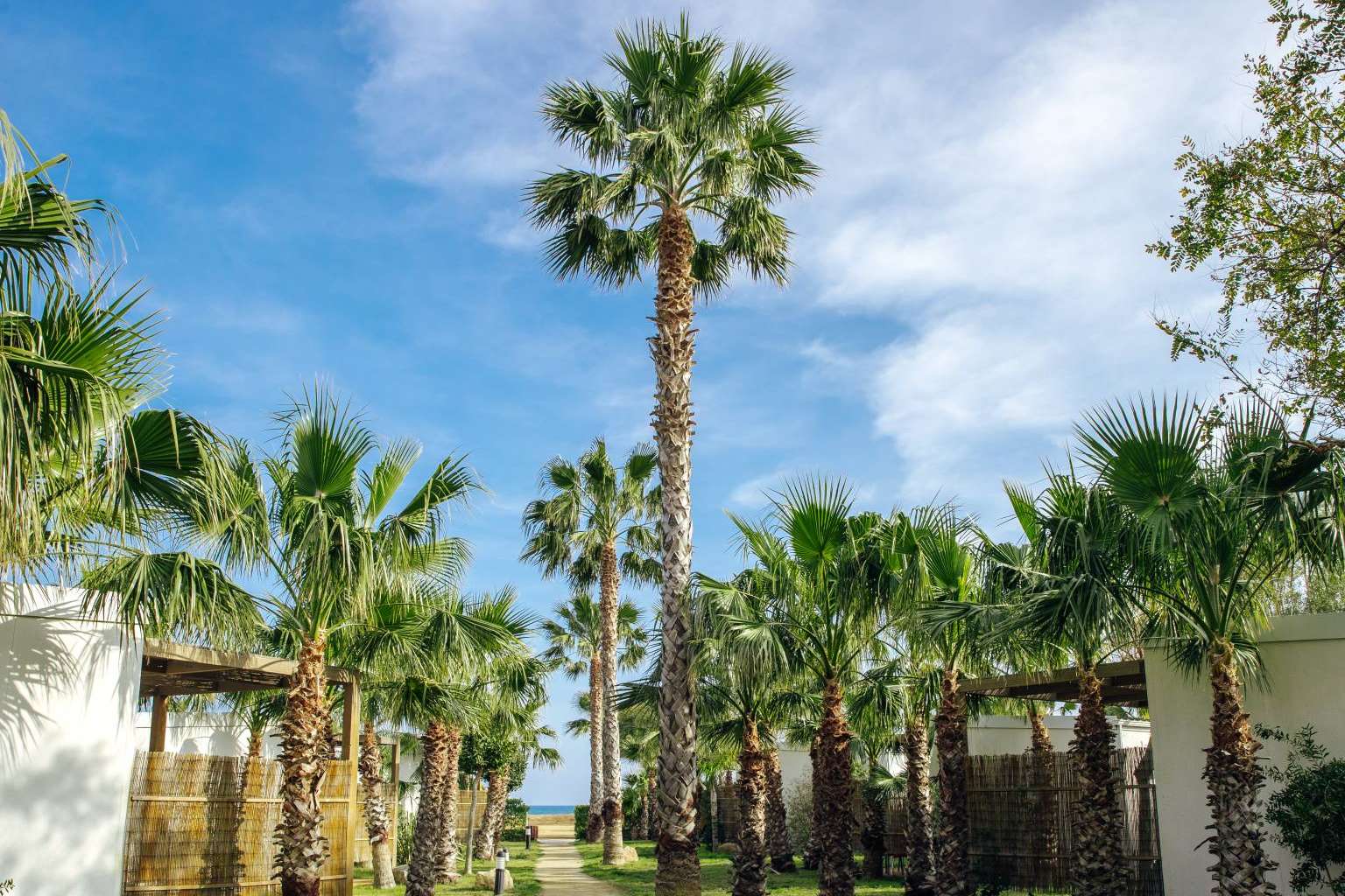 Alannia Resorts ofrece alojamientos únicos en la Costa Daurada