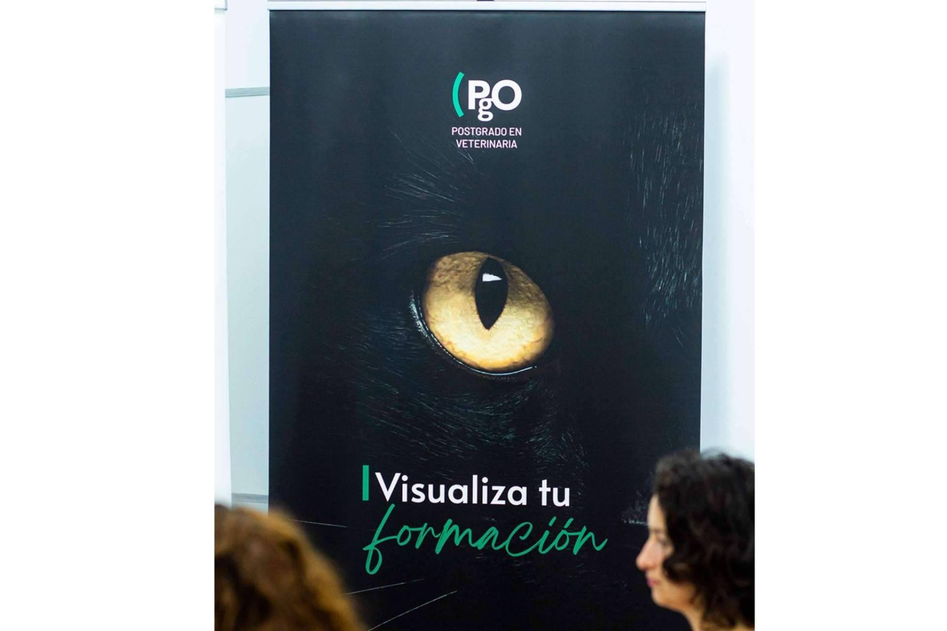 Formación de postgrado de calidad con PgO Veterinaria