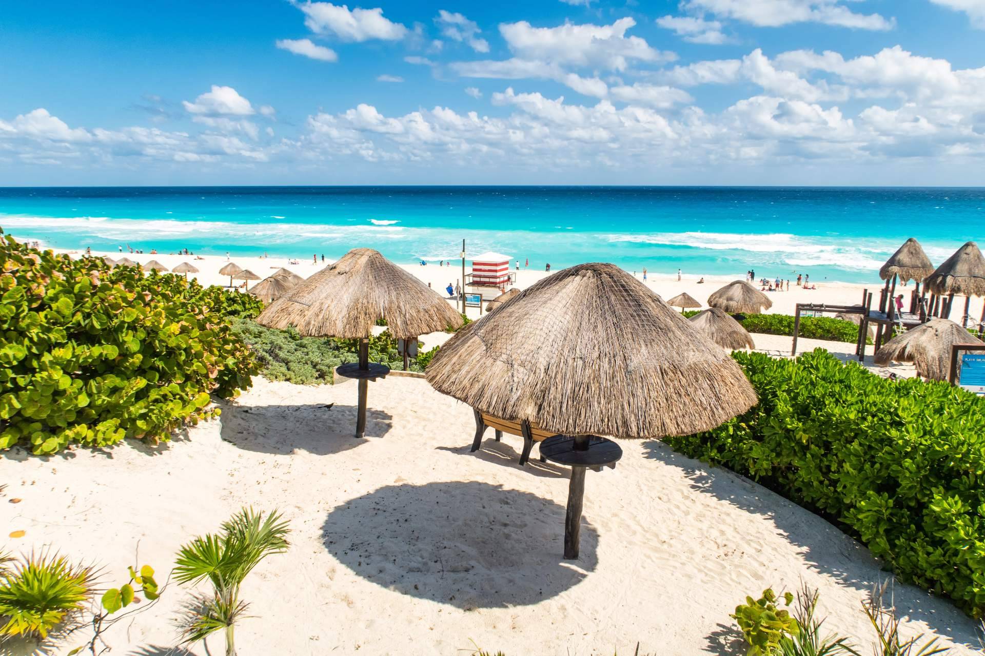Jungle Tour, la experiencia de conducir una lancha rápida en Cancún