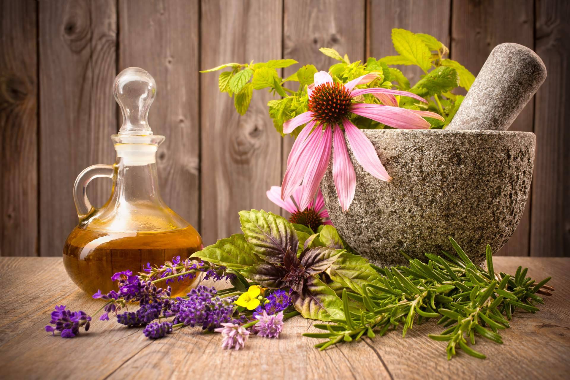 Biziondo informa sobre los remedios naturales para el dolor de espalda