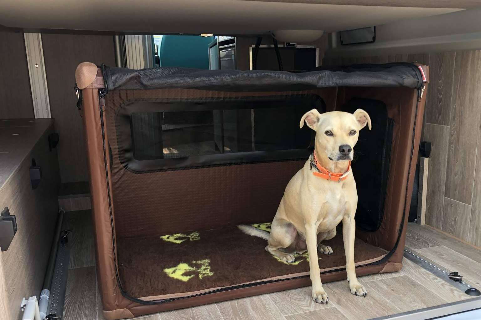 ¿Dónde alquilar autocaravanas en Girona para realizar viajes con perros? Activans