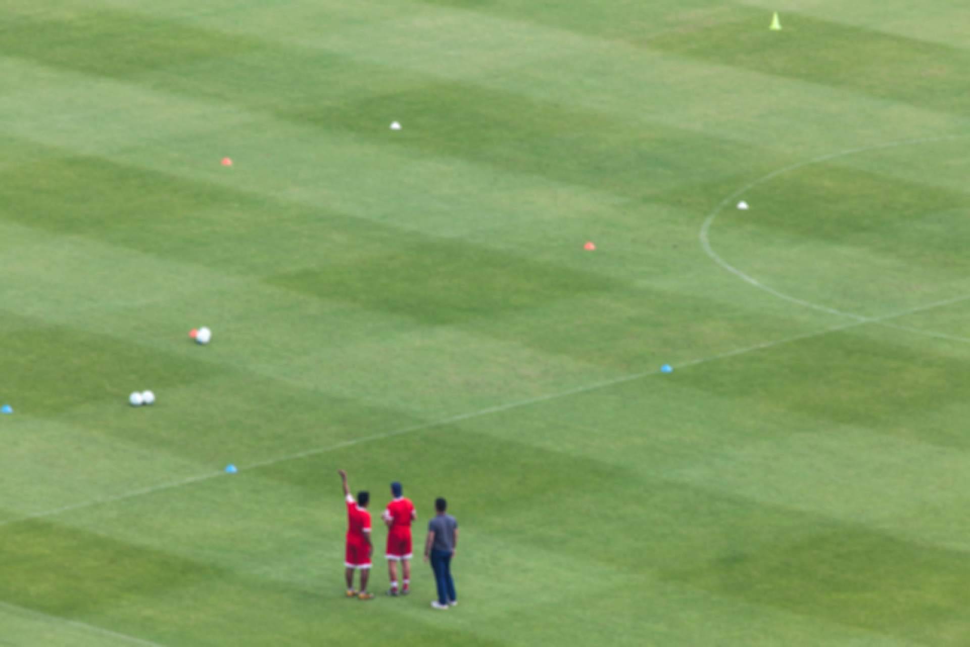 Qué es y cómo usar AFECPro para ganar dinero a través del fútbol