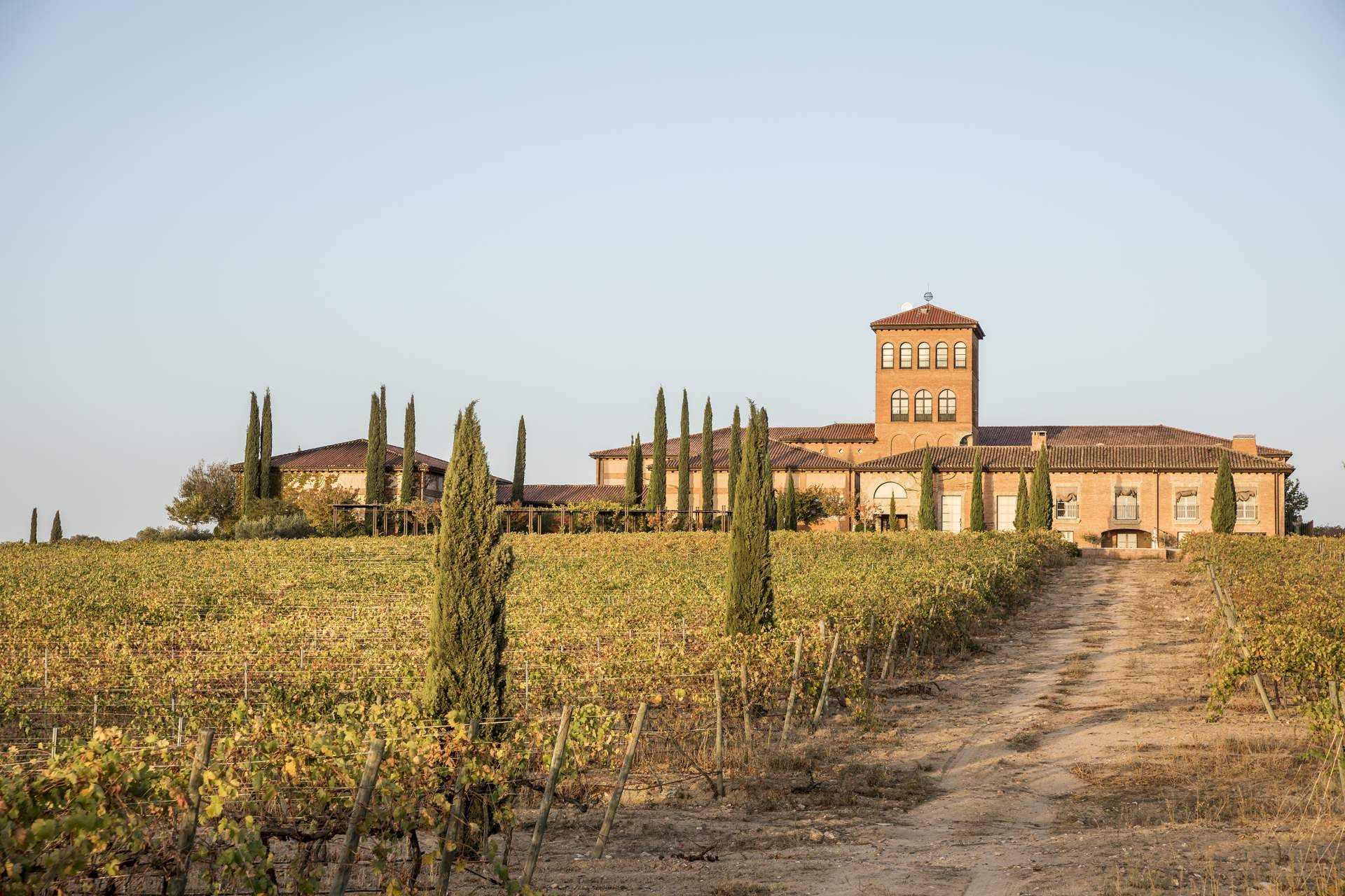 El vino de lujo de los Arribes del Duero, Hacienda Zorita, llega a Salamanca en exclusiva con Comercial de Vinos Acera