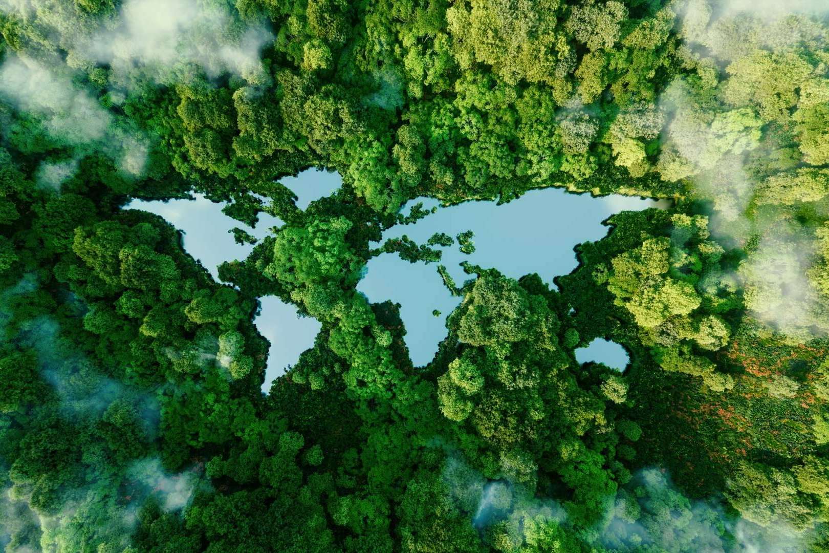 Laragon es el software diseñado para la gestión ambiental