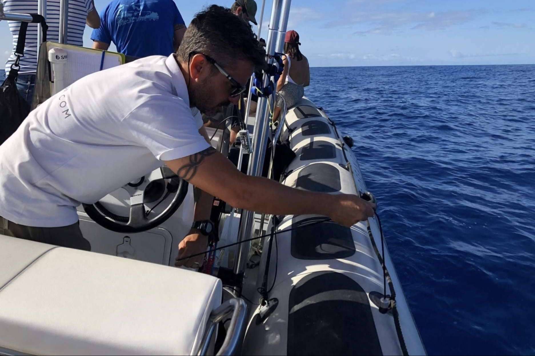 Biosean se encarga de generar información clave para la investigación de la ballena piloto en Tenerife