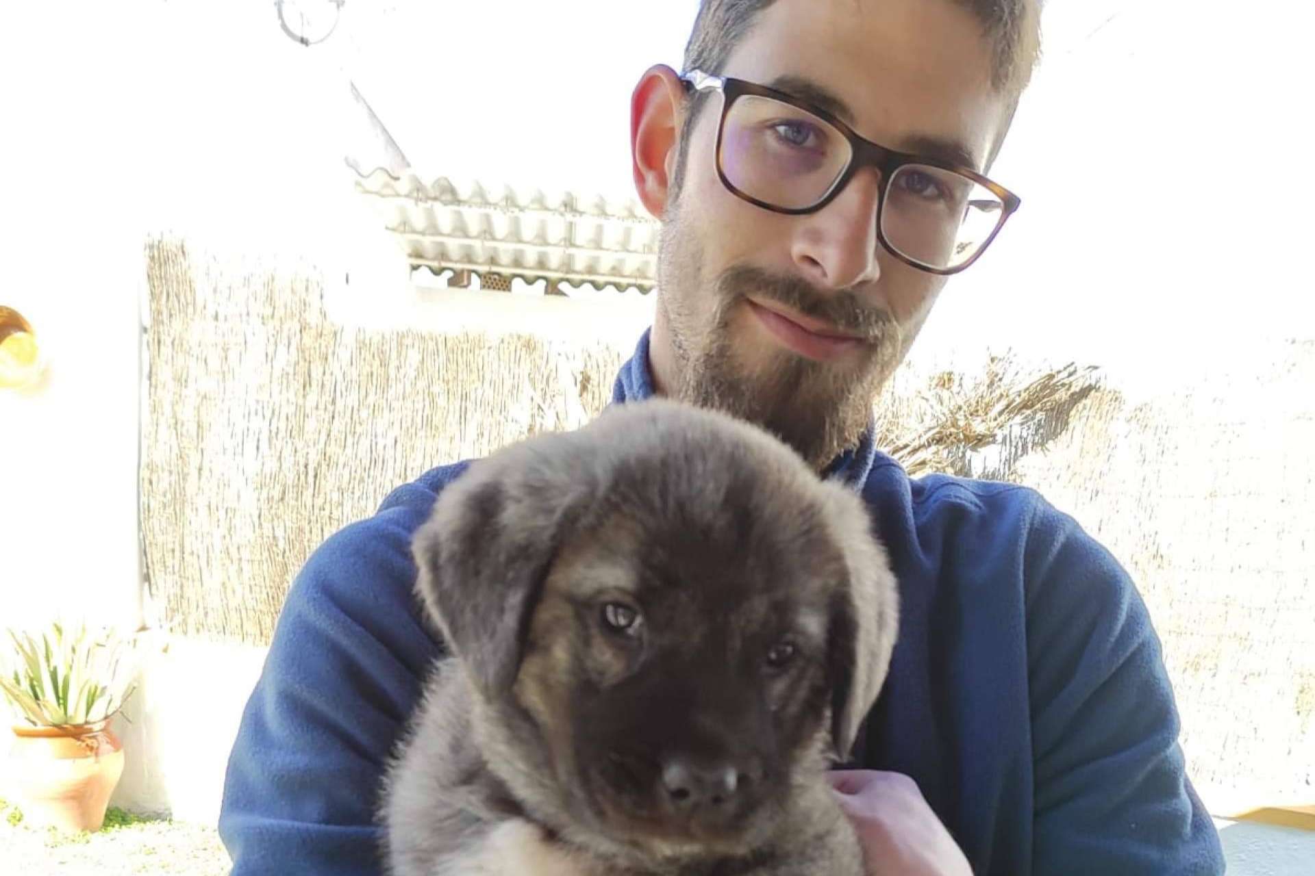 Emprender en el mundo canino digital, transformar el amor por los perros en una fuente de alegría y ganancias con Libertad 365 Días