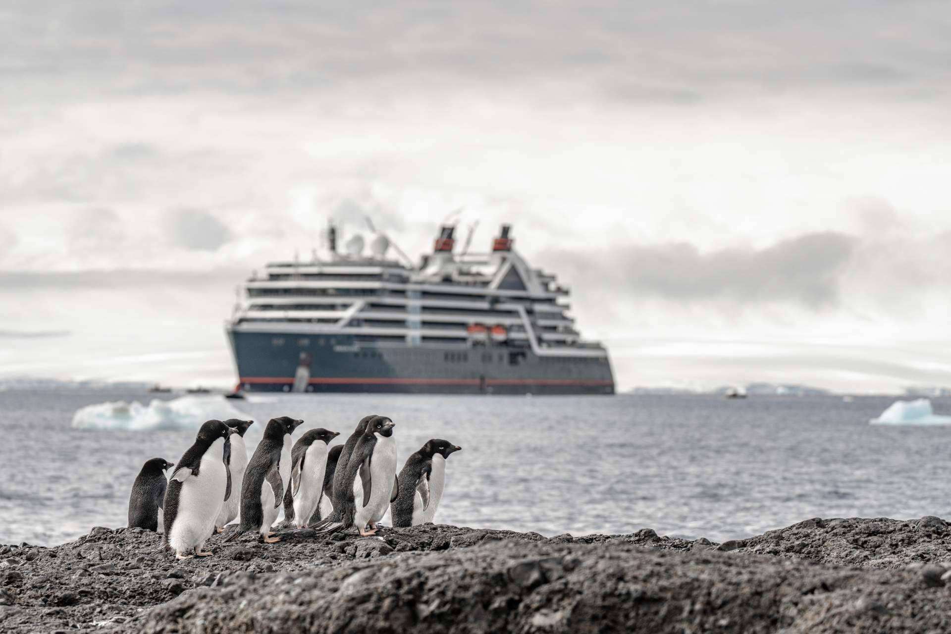 Seabourn Pursuit, el nuevo barco de expedición de ultralujo