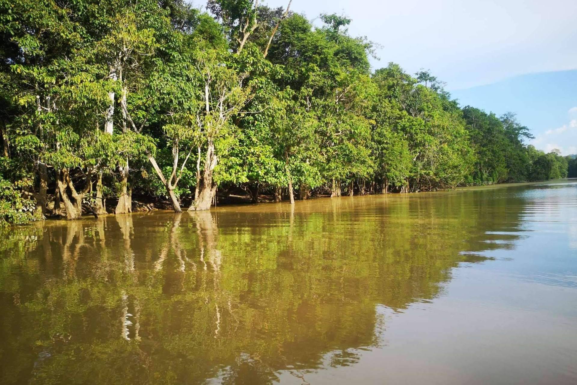 Borneo en otoño, descubriendo el encanto de Sabah; ventajas de una escapada en esta temporada