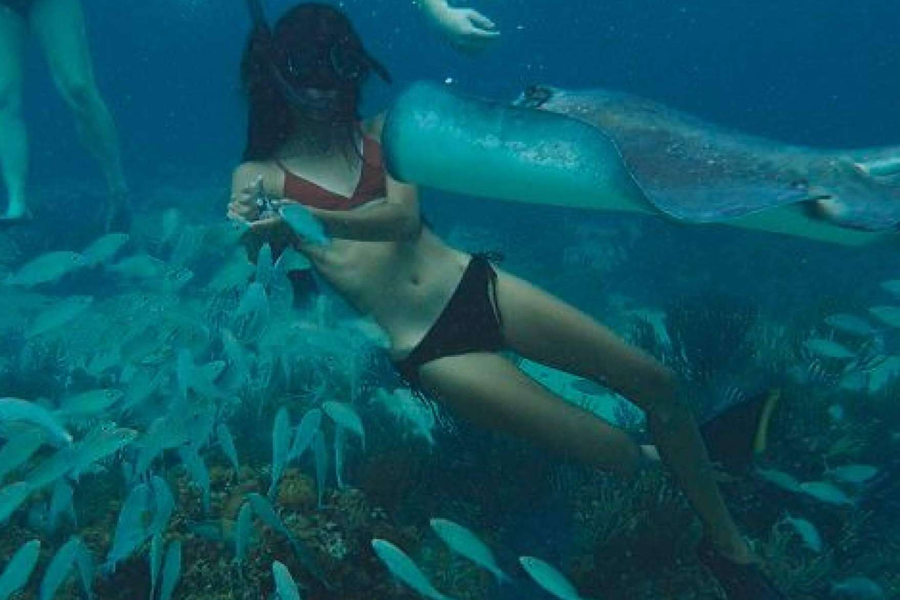 Disfrutar de las playas y la naturaleza de las Islas Caimán con Cayman Ocean Adventures