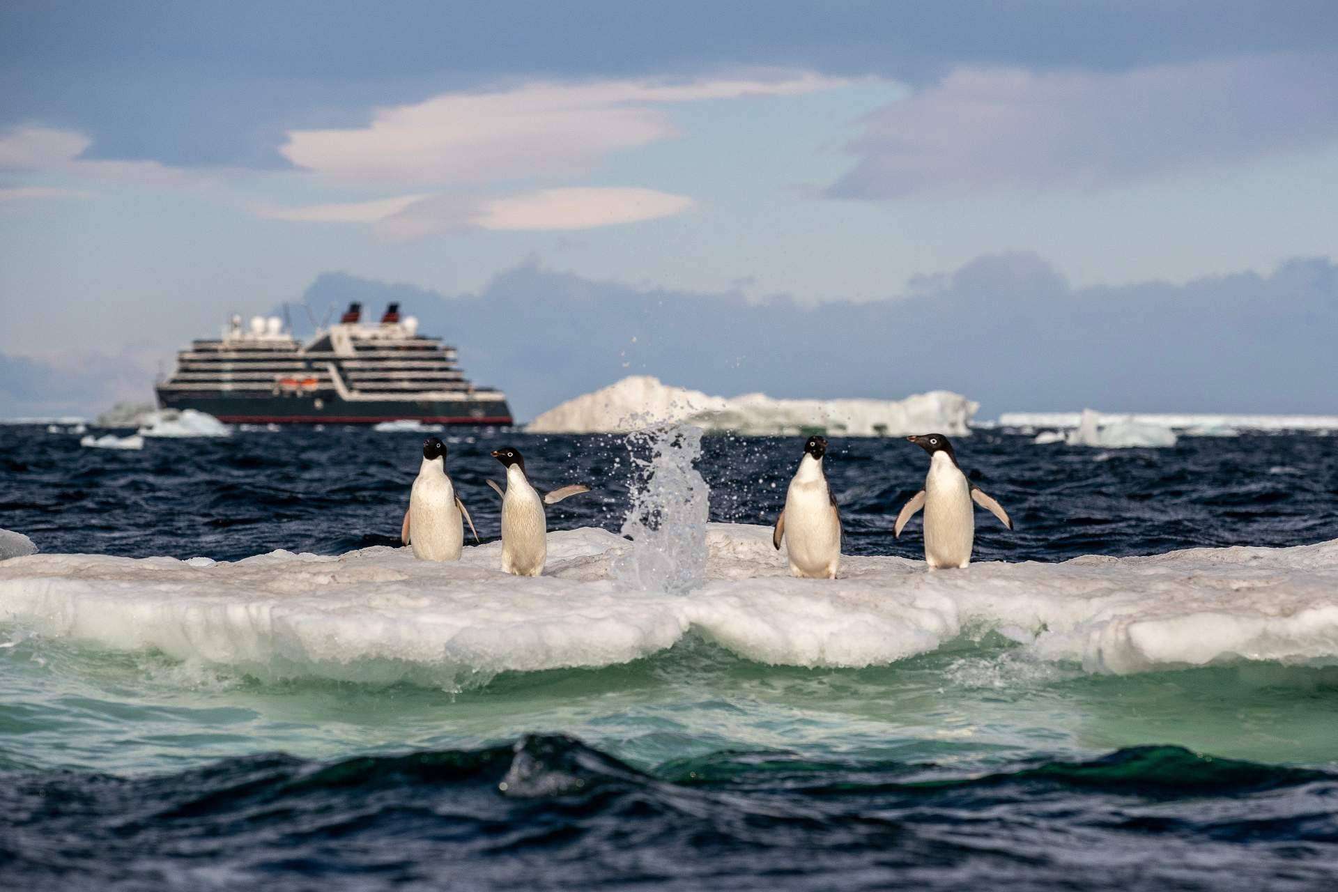Un crucero de lujo en la Antártida para vivir una experiencia singular