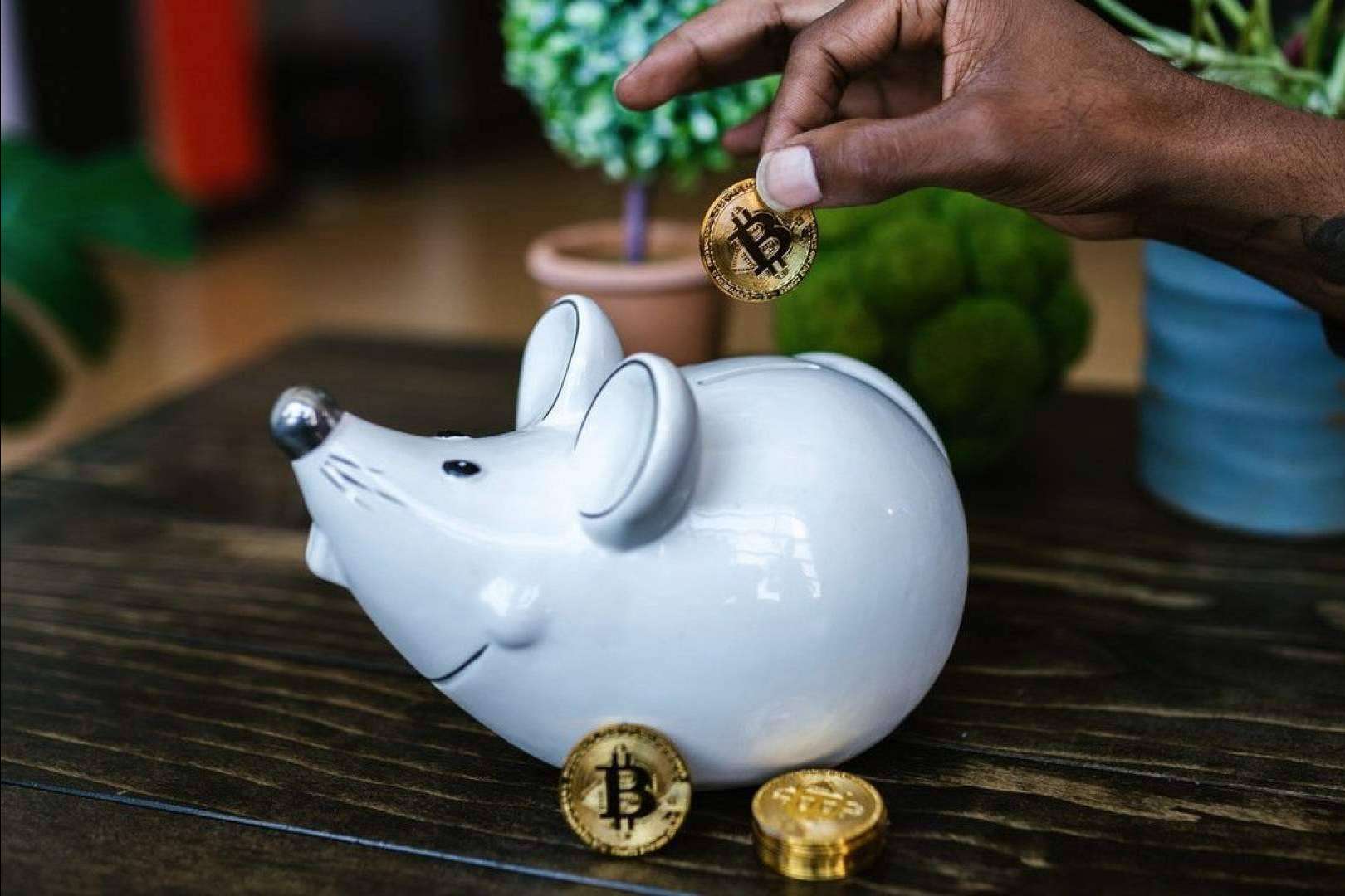 Halvings y Bitcoin ETF refuerzan la preventa de Bitkoin