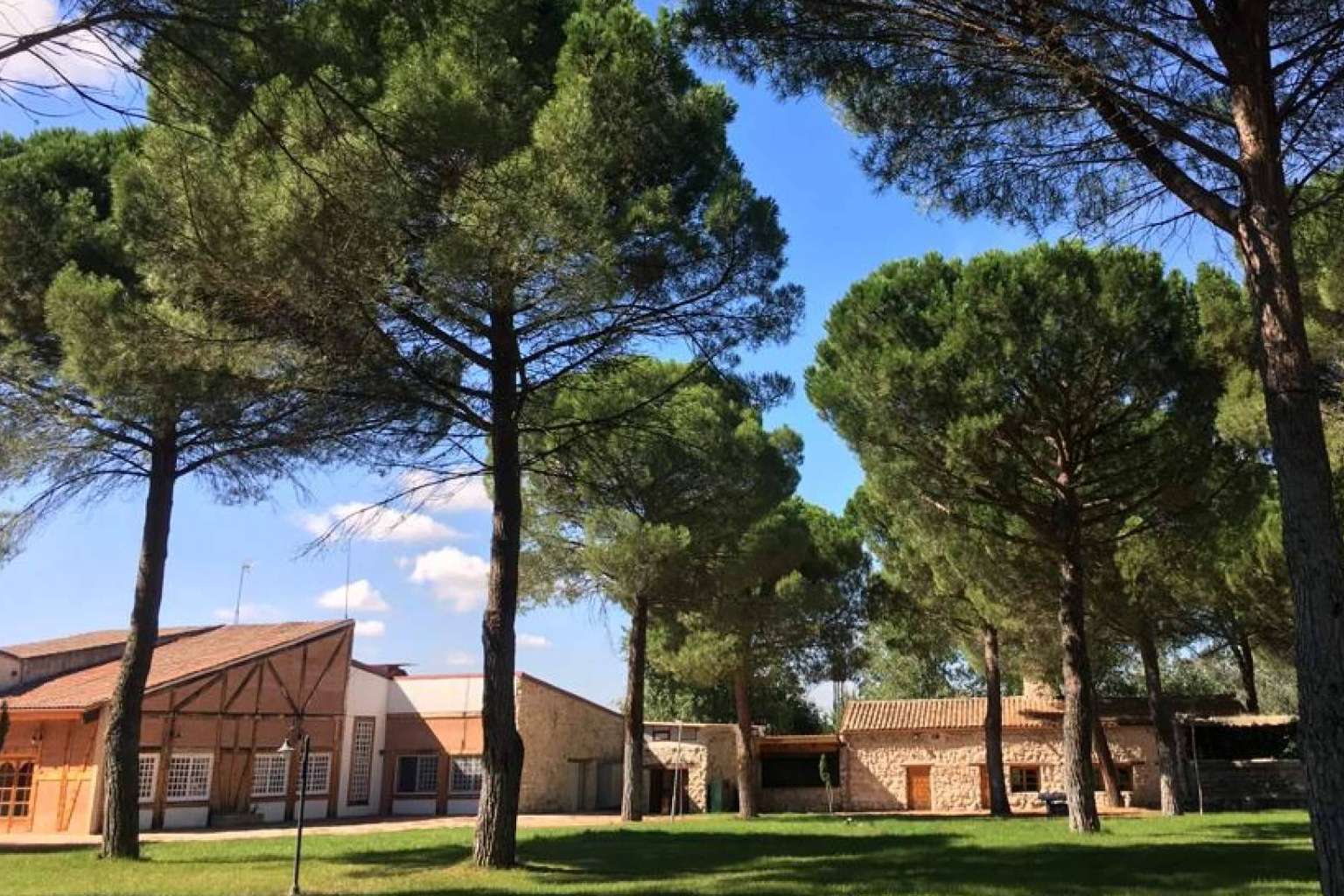 Campamentos de verano en La Senda de Matapozuelos con Aula Joven