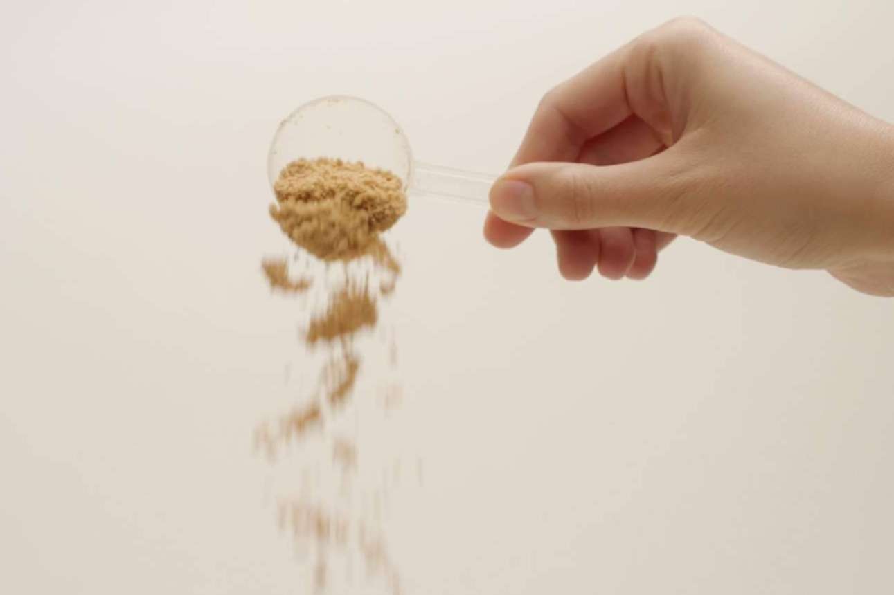 Las mezclas de superalimentos en polvo de YourGut