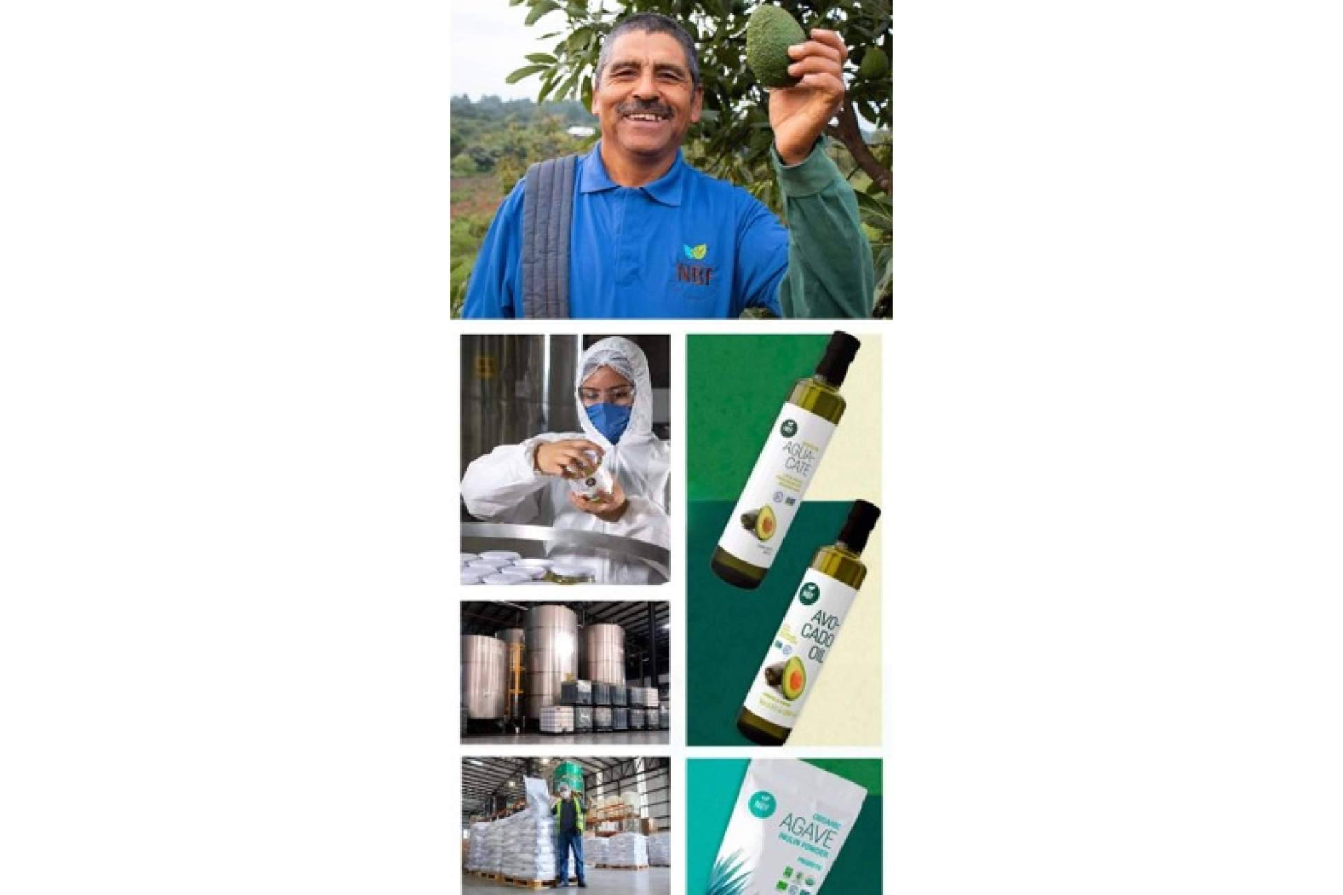Productos orgánicos y naturales en formato industrial, con NBF Market