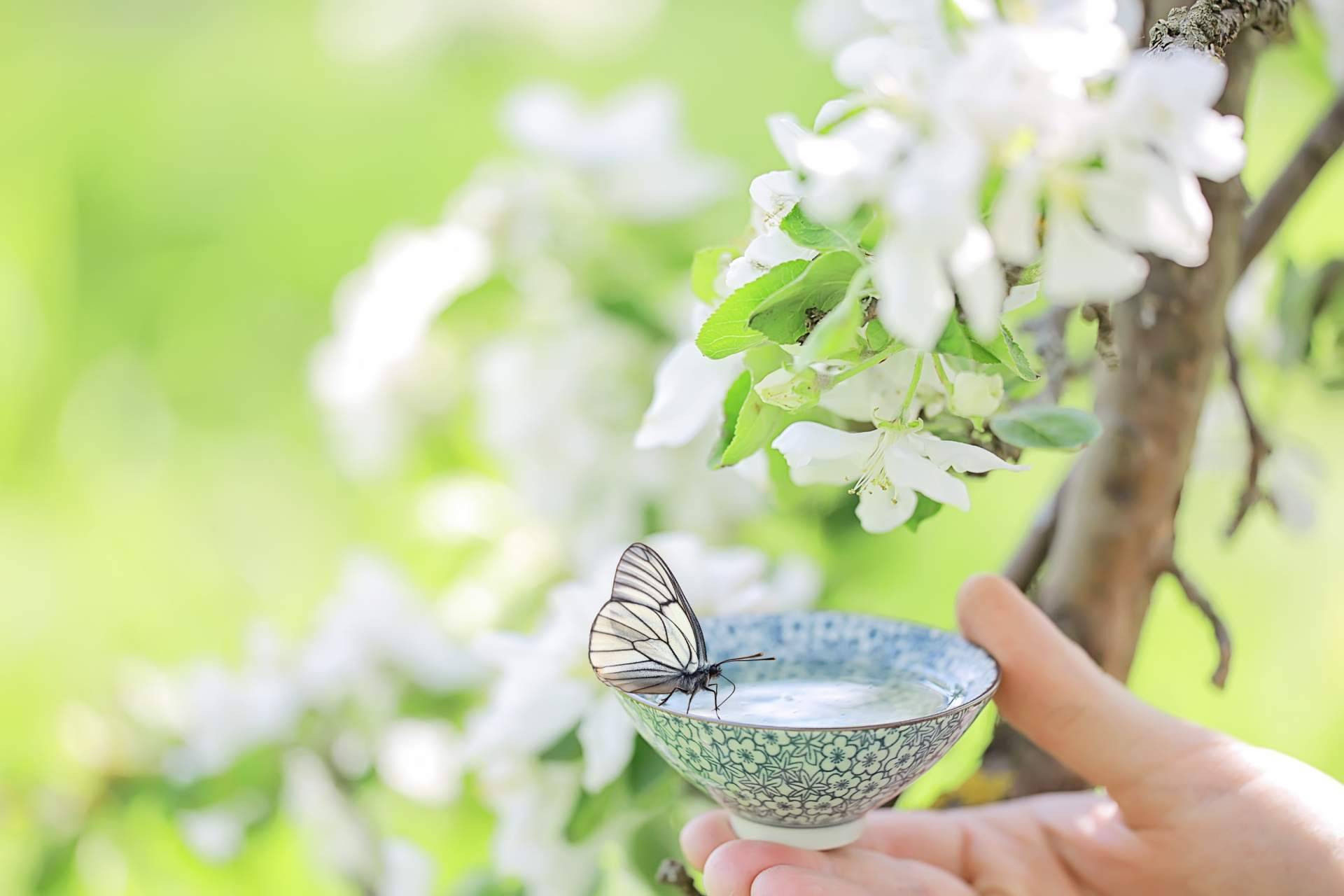 Green mindfulness, una experiencia perfecta como complemento a encuentros, formaciones o workshops