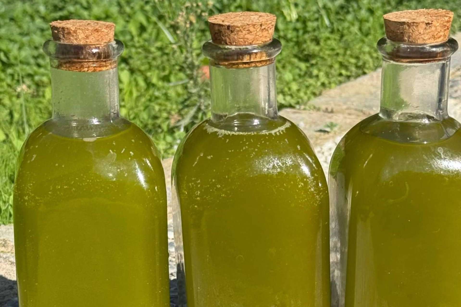 Cómo se elabora un aceite de oliva virgen extra gourmet, la visión de Tercio de las Torres