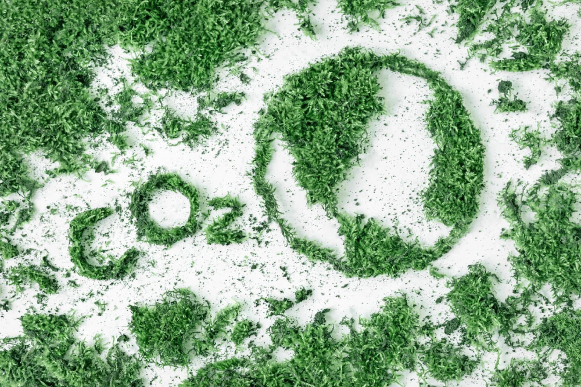 Reducir el impacto ambiental, turismo sostenible y huella de carbono