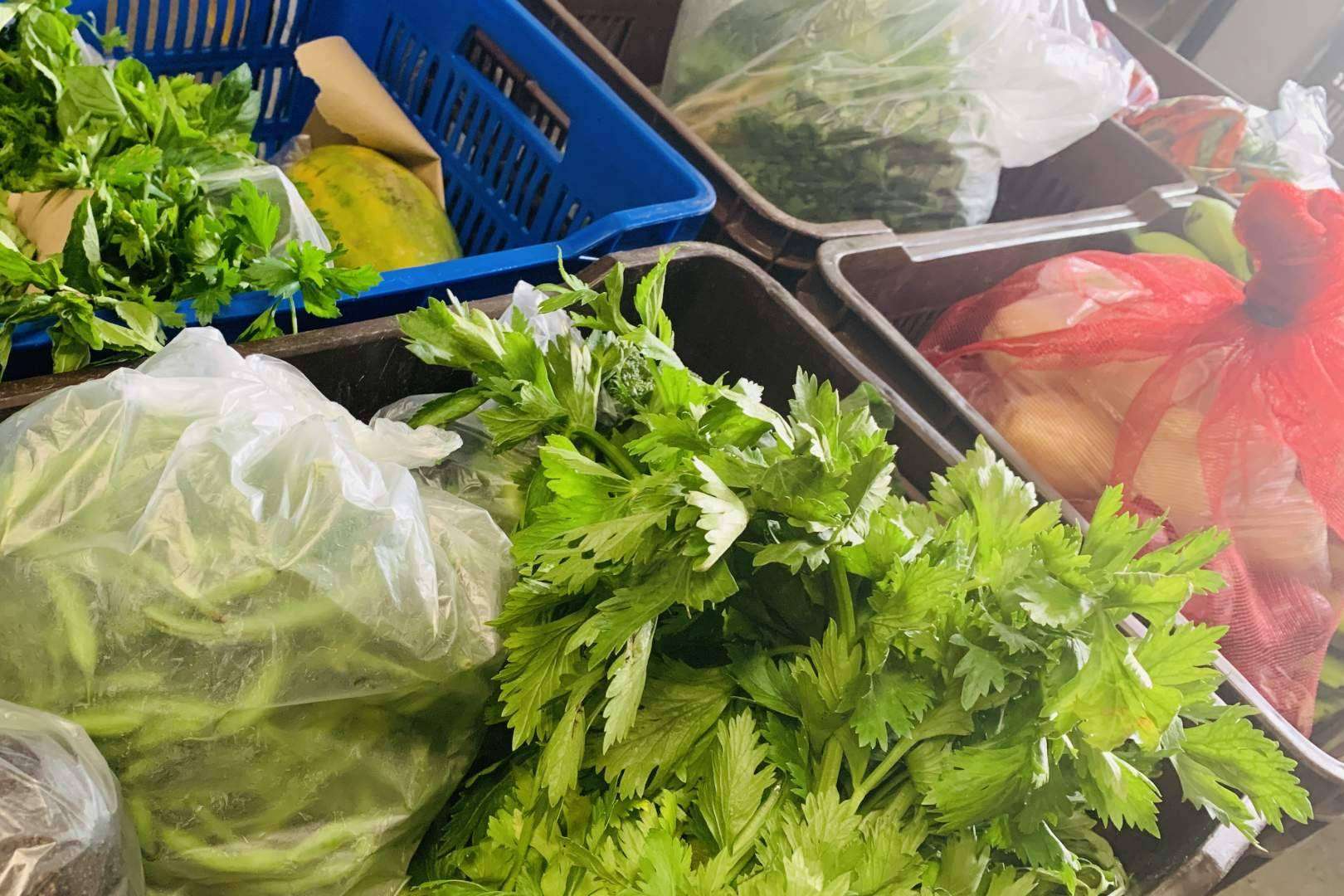 Comodidad y frescura en cada pedido; ahora Mercado La Terminal a un click de distancia