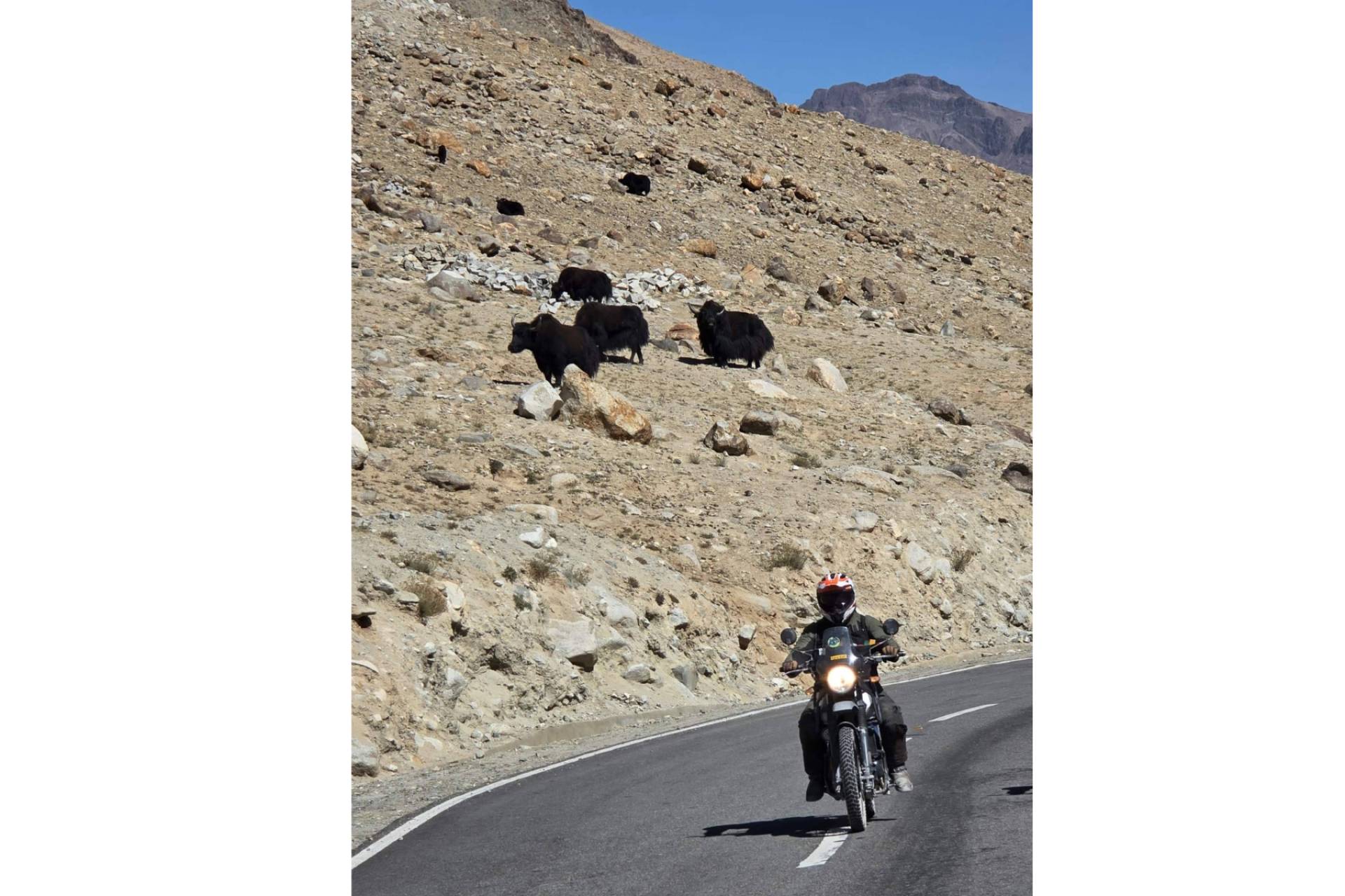 Ruta en moto por el Himalaya; una experiencia transformadora de la mano de Motorbeach Viajes