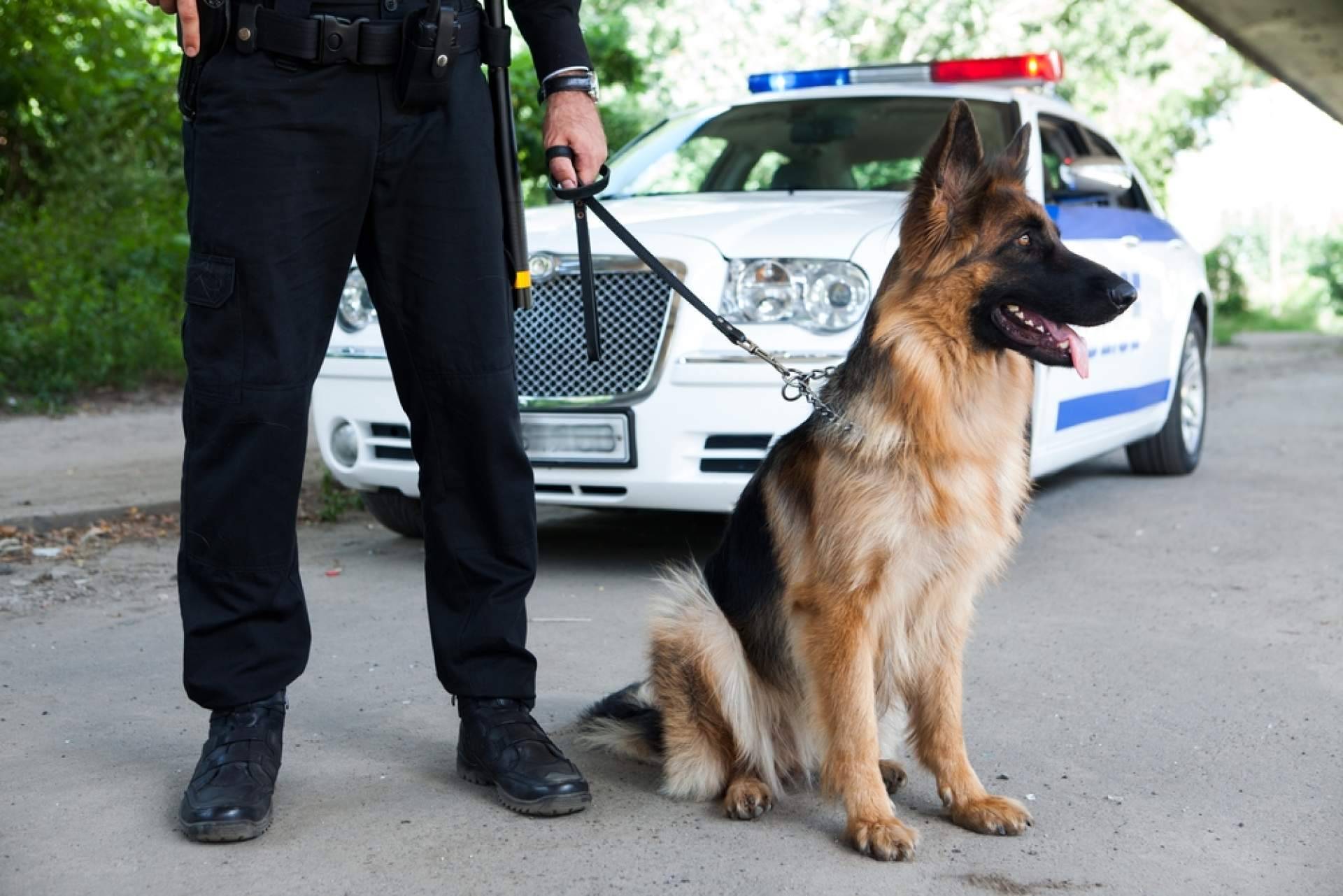 Cómo certificar el A2 de inglés para acceder a la Policía Nacional