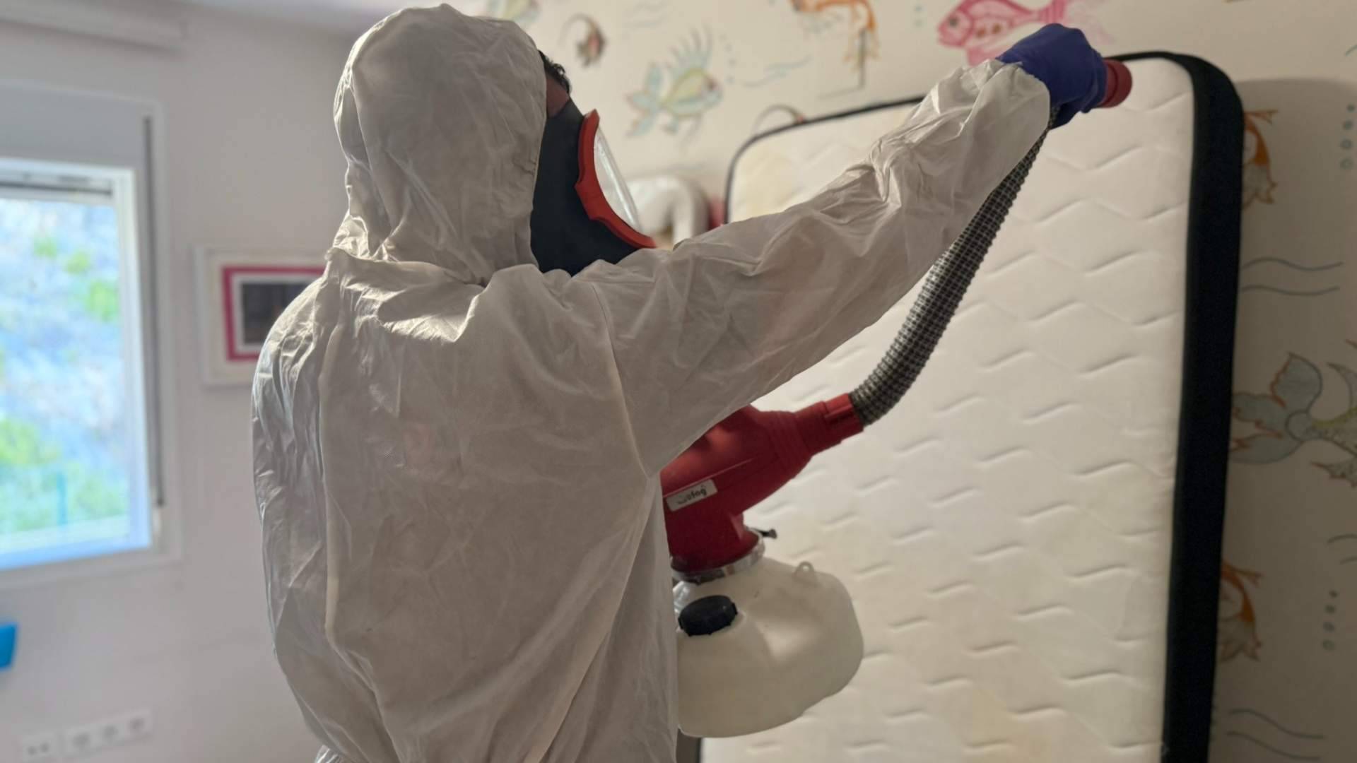 Control de plagas preventivo frente a riesgos sanitarios